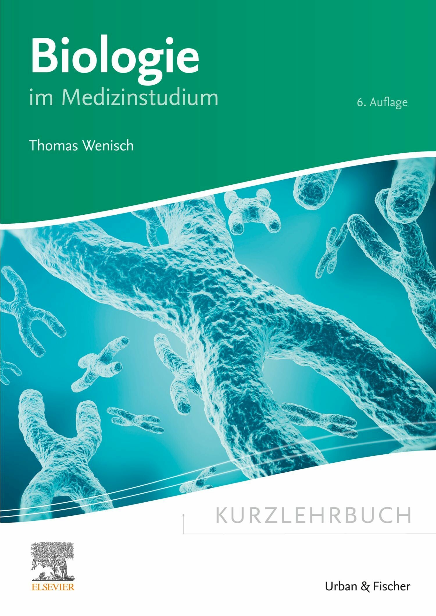 Cover Kurzlehrbuch Biologie