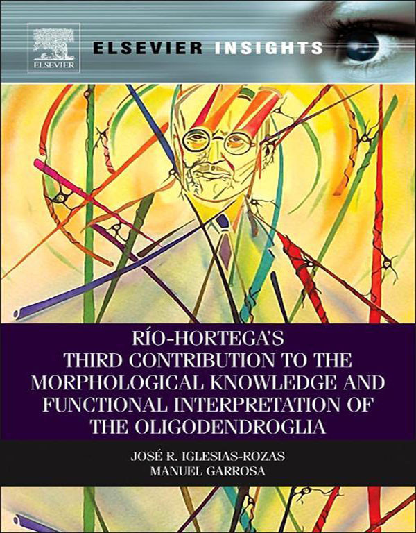 Cover Rio-Hortega's Third Contribution to the Morphological Knowledge and Functional Interpretation of the Oligodendroglia
