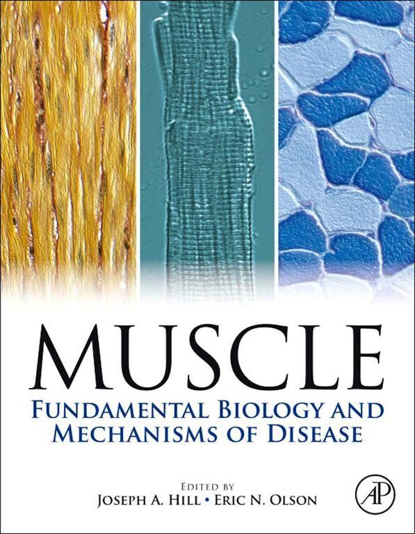 Cover Muscle 2-Volume Set