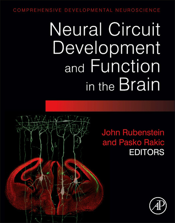 Cover Neural Circuit Development and Function in the Healthy and Diseased Brain