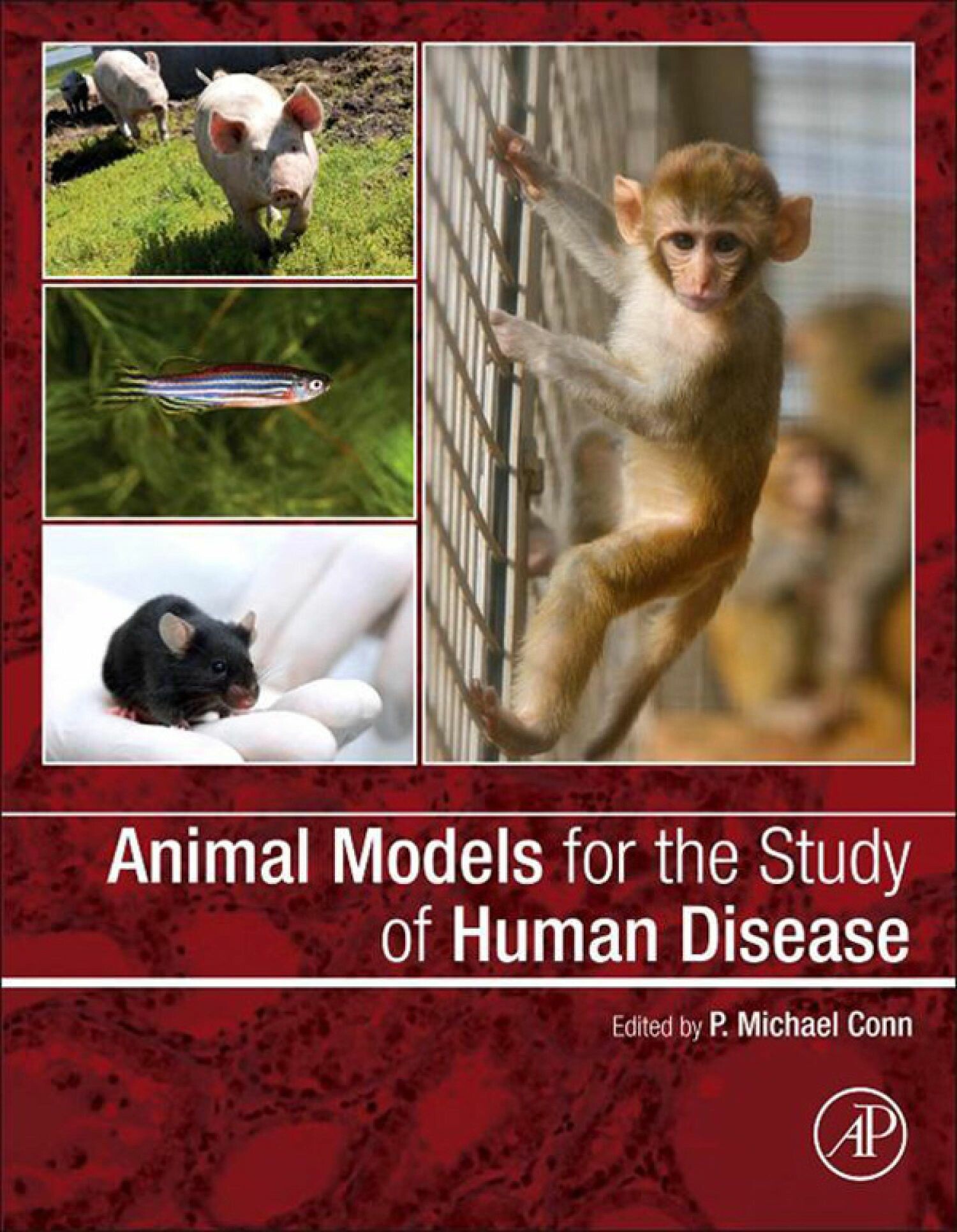 Cover Animal Models for the Study of Human Disease
