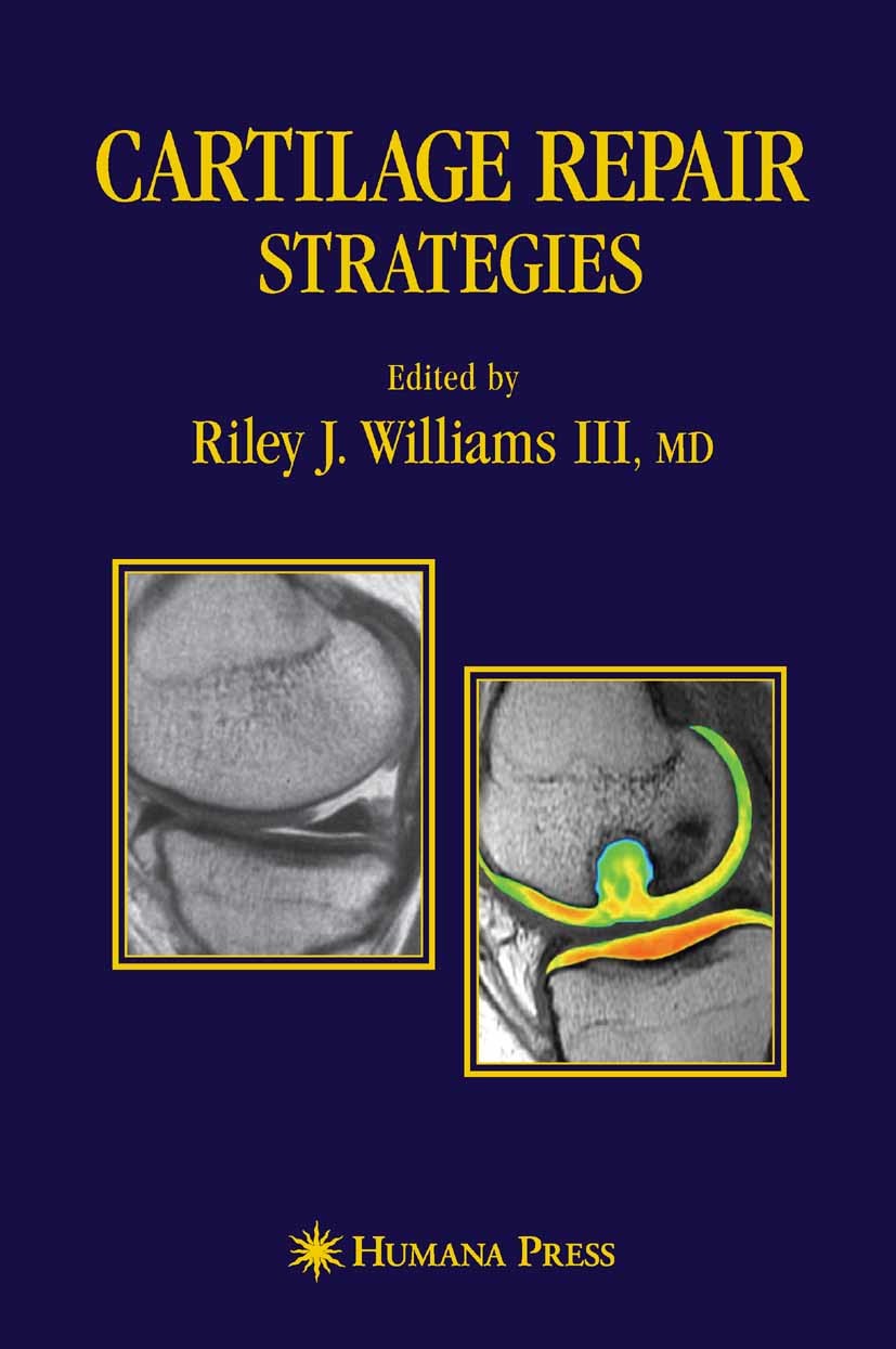 Cover Cartilage Repair Strategies