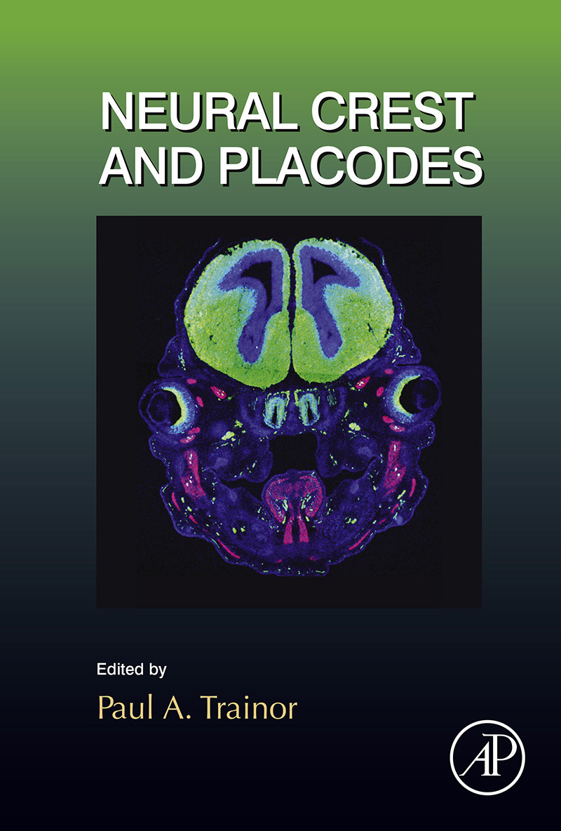 Neural Crest and Placodes