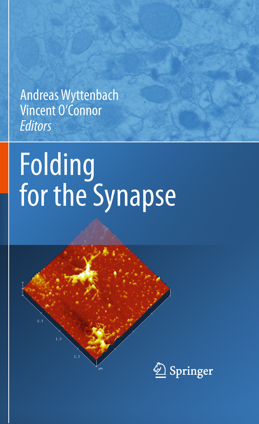 Cover Folding for the Synapse