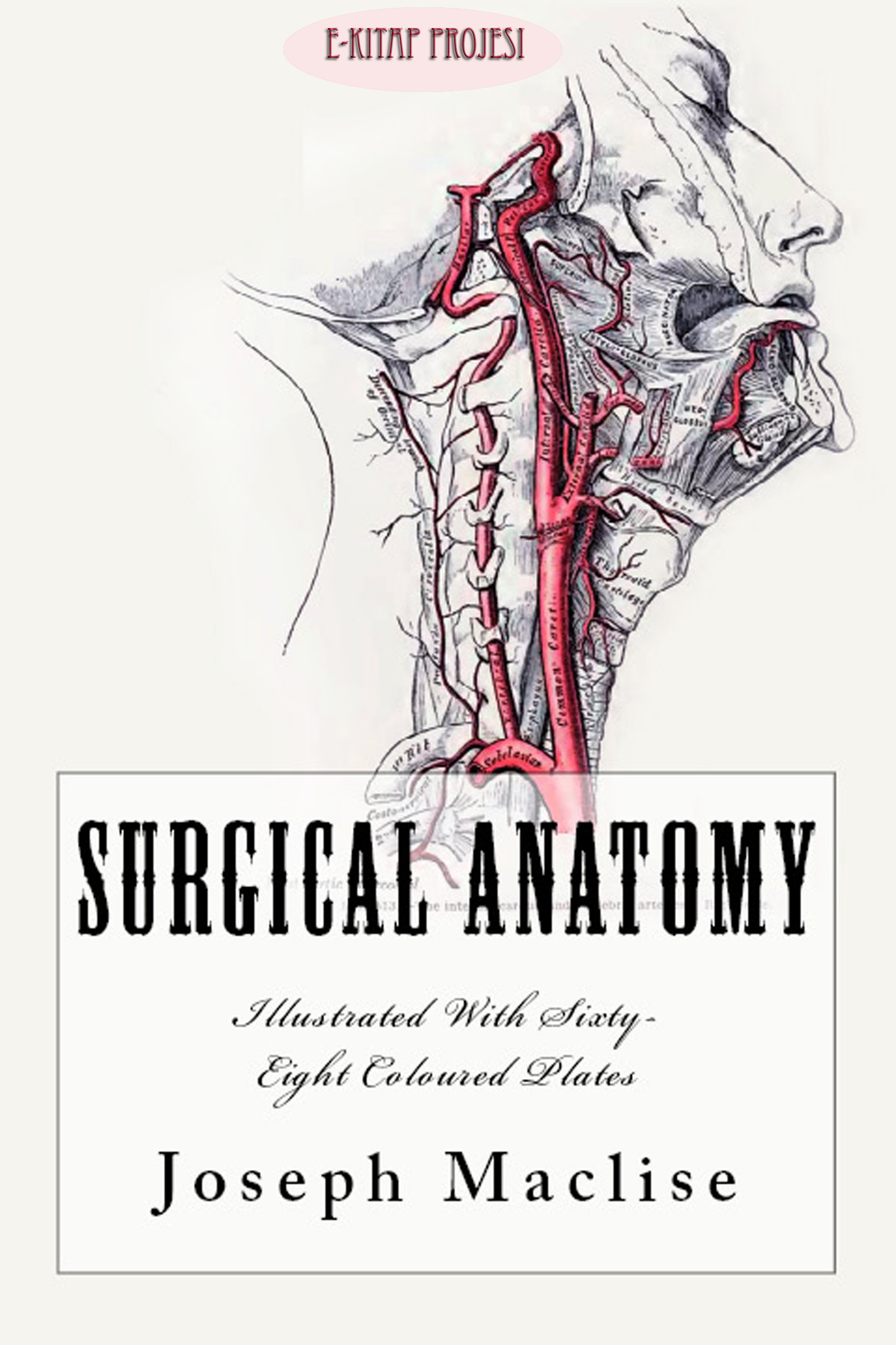 Surgical Anatomy