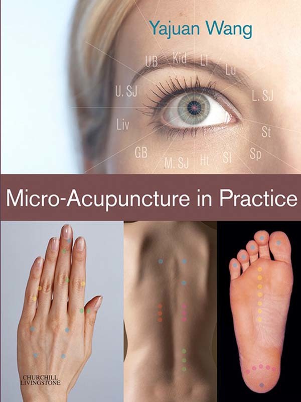 Cover Micro-Acupuncture in Practice