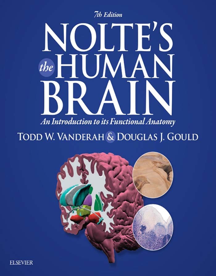 Nolte's The Human Brain E-Book