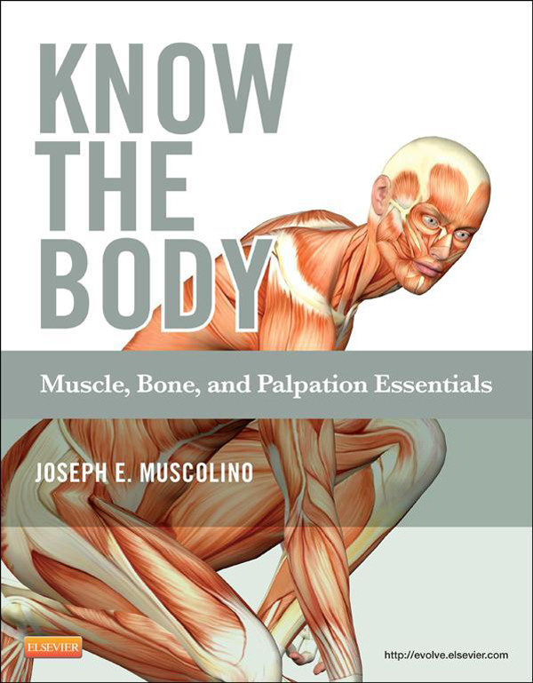 Know the Body: Muscle, Bone, and Palpation Essentials - E-Book