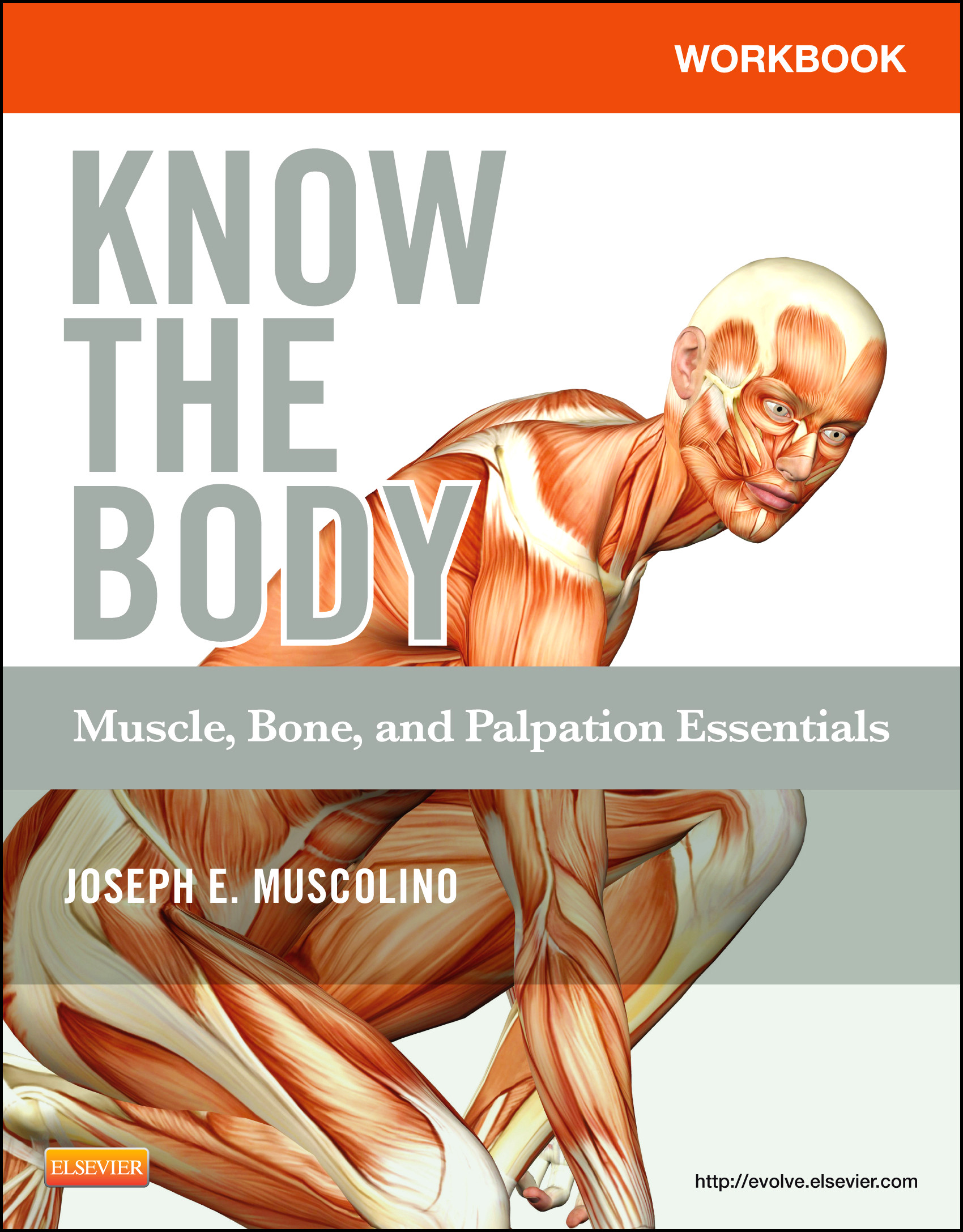 Workbook for Know the Body: Muscle, Bone, and Palpation Essentials - E-Book