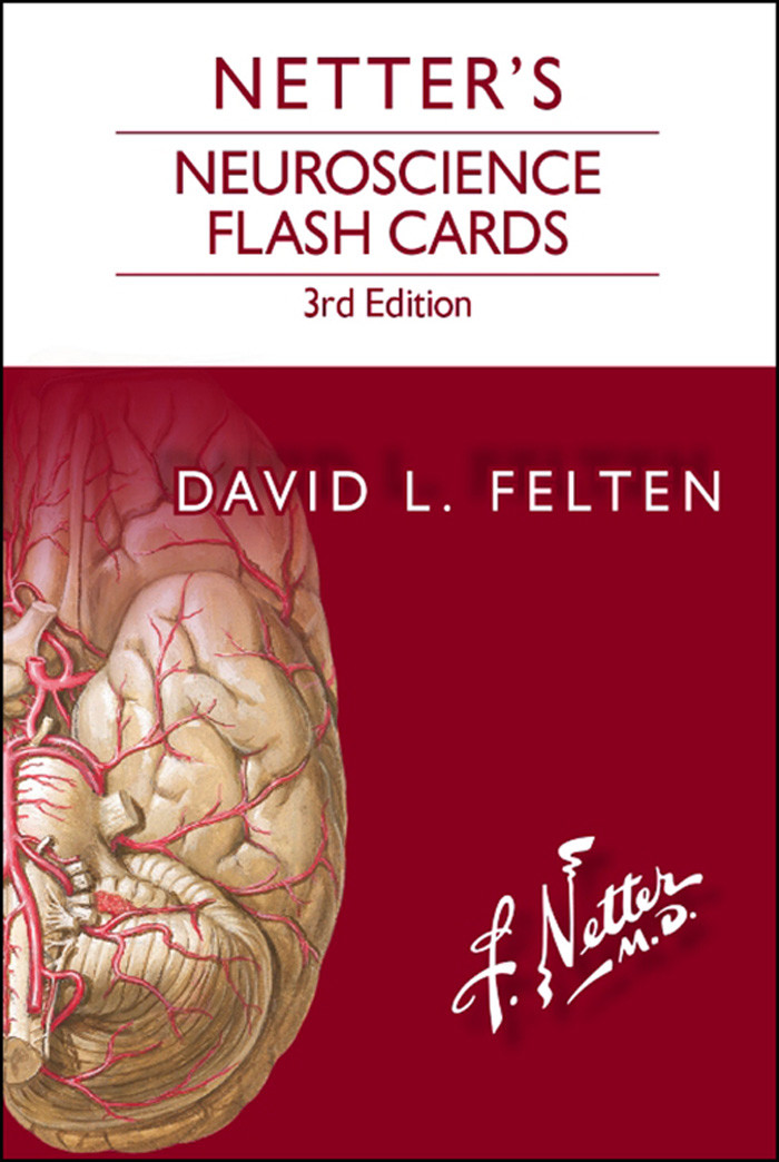 Download Netter's Neuroscience Flash Cards - E-Book