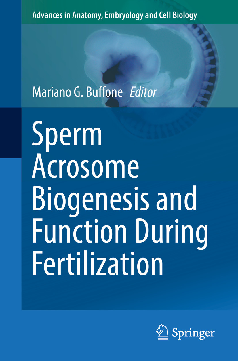 Sperm Acrosome Biogenesis And Function During Fertilization - E-Book