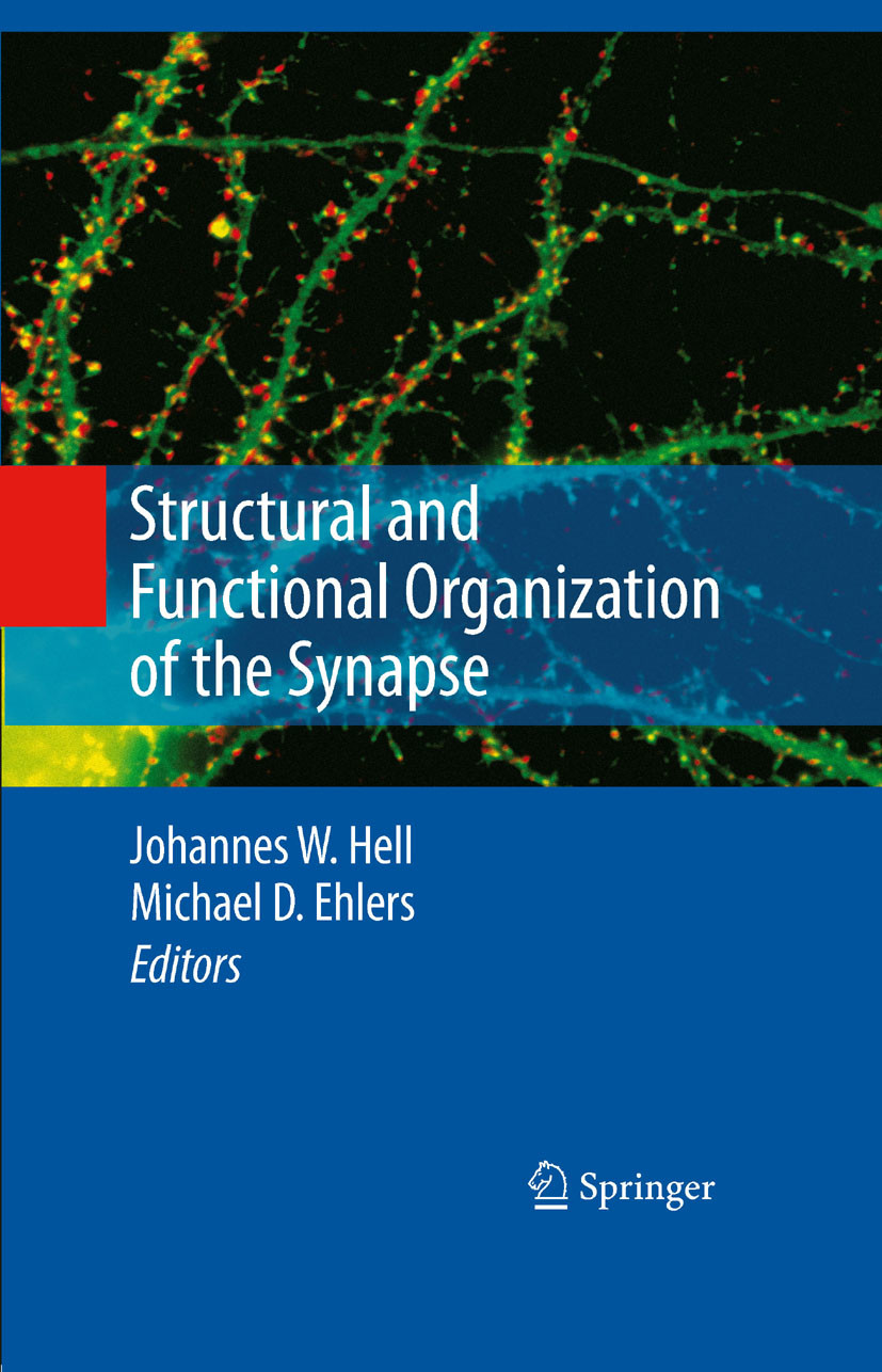 Cover Structural and Functional Organization of the Synapse