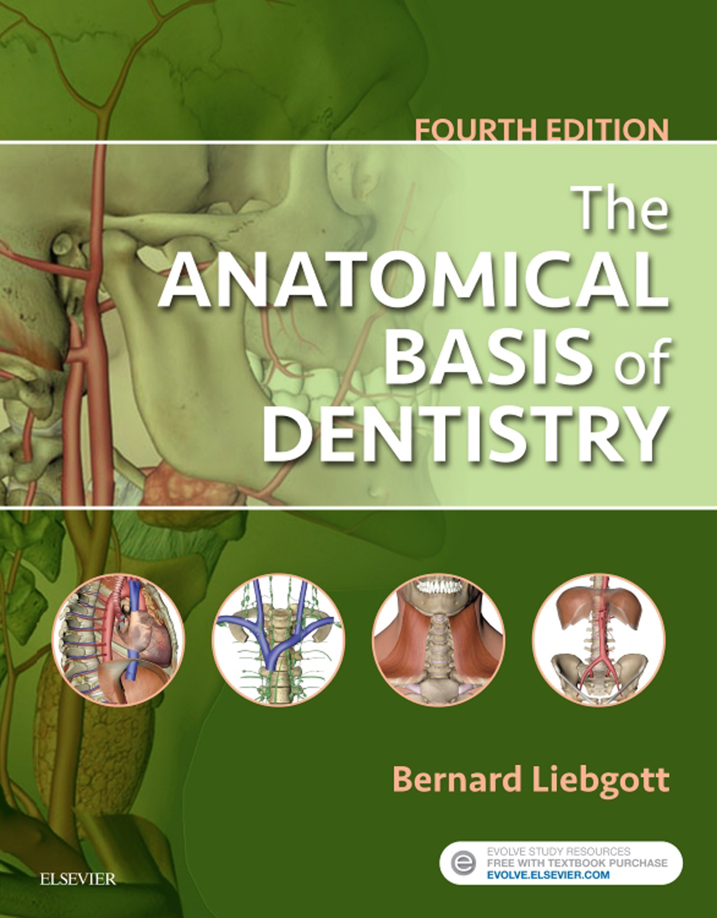 Cover The Anatomical Basis of Dentistry - E-Book