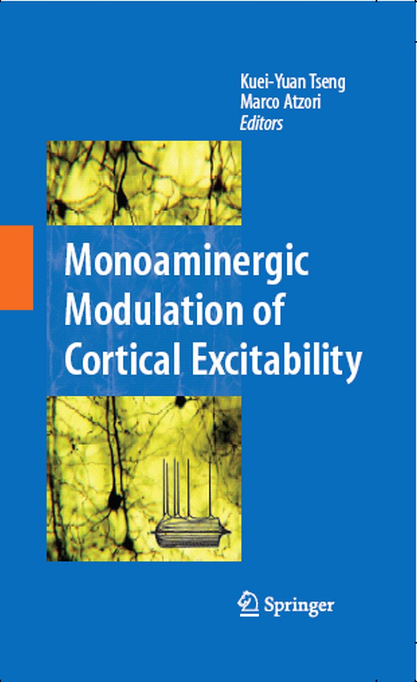 Monoaminergic Modulation of Cortical Excitability