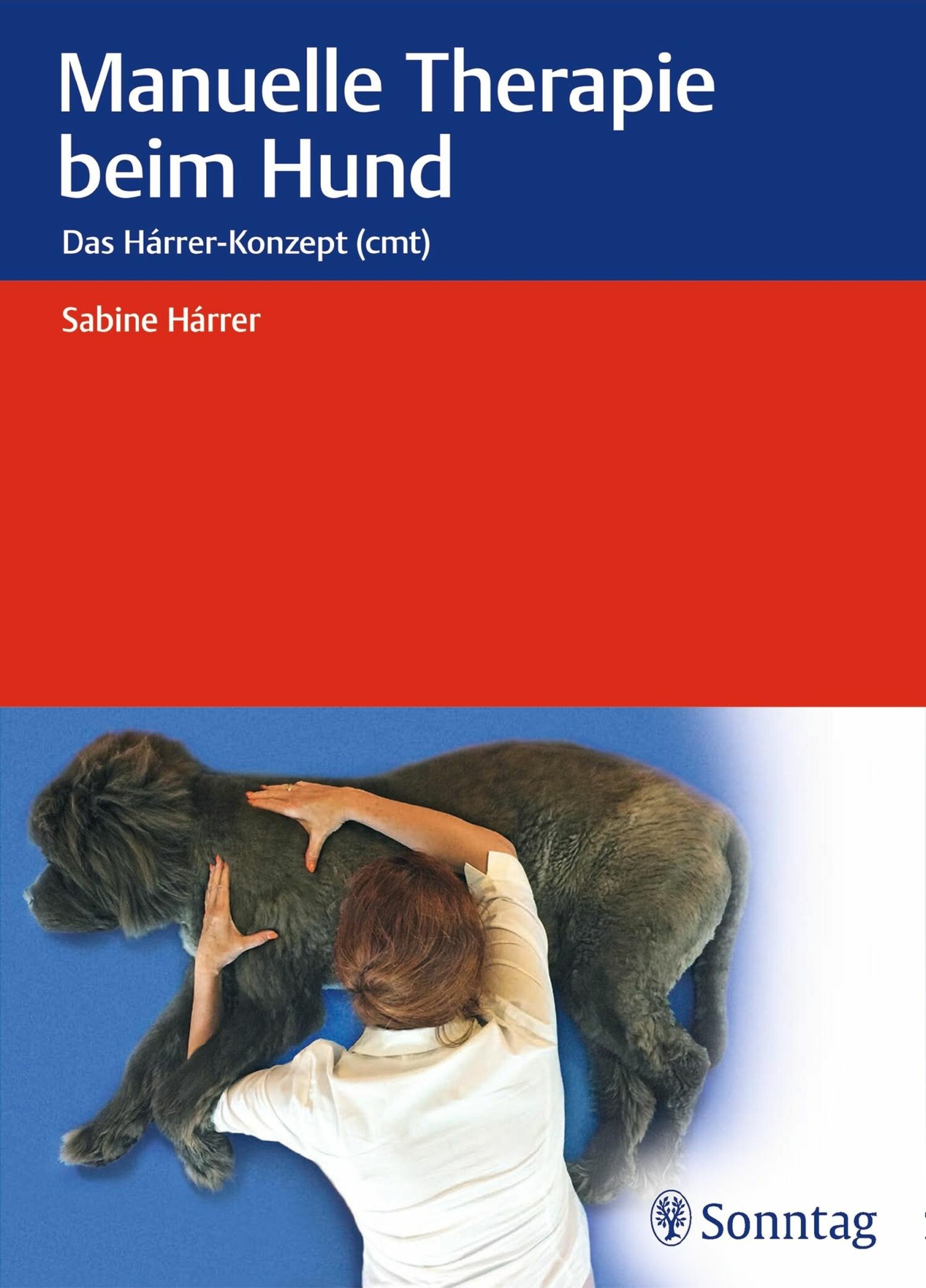 Manuelle Therapie beim Hund