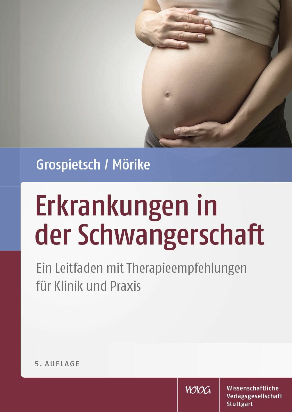 Erkrankungen In Der Schwangerschaft - E-Book - Frohberg