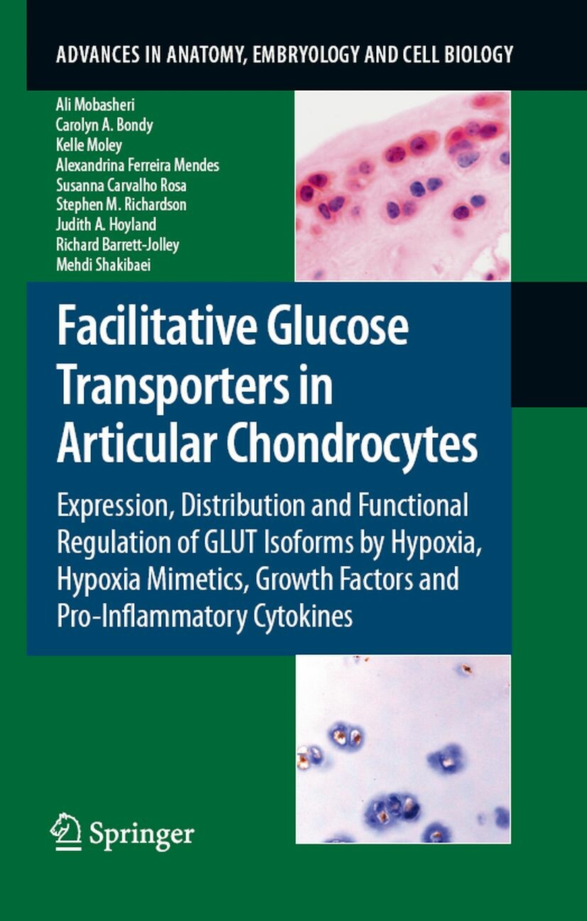 Cover Facilitative Glucose Transporters in Articular Chondrocytes