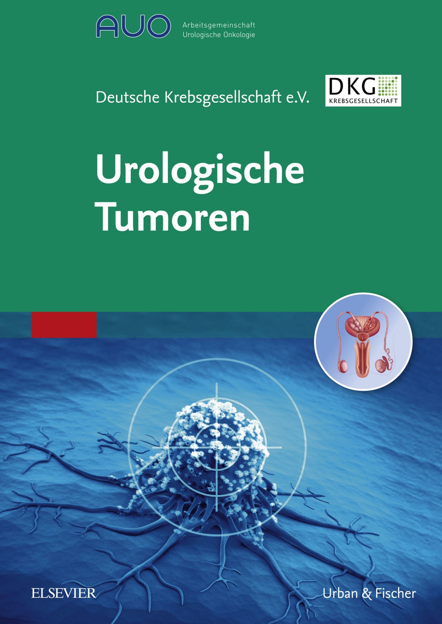 Cover Urologische Tumoren