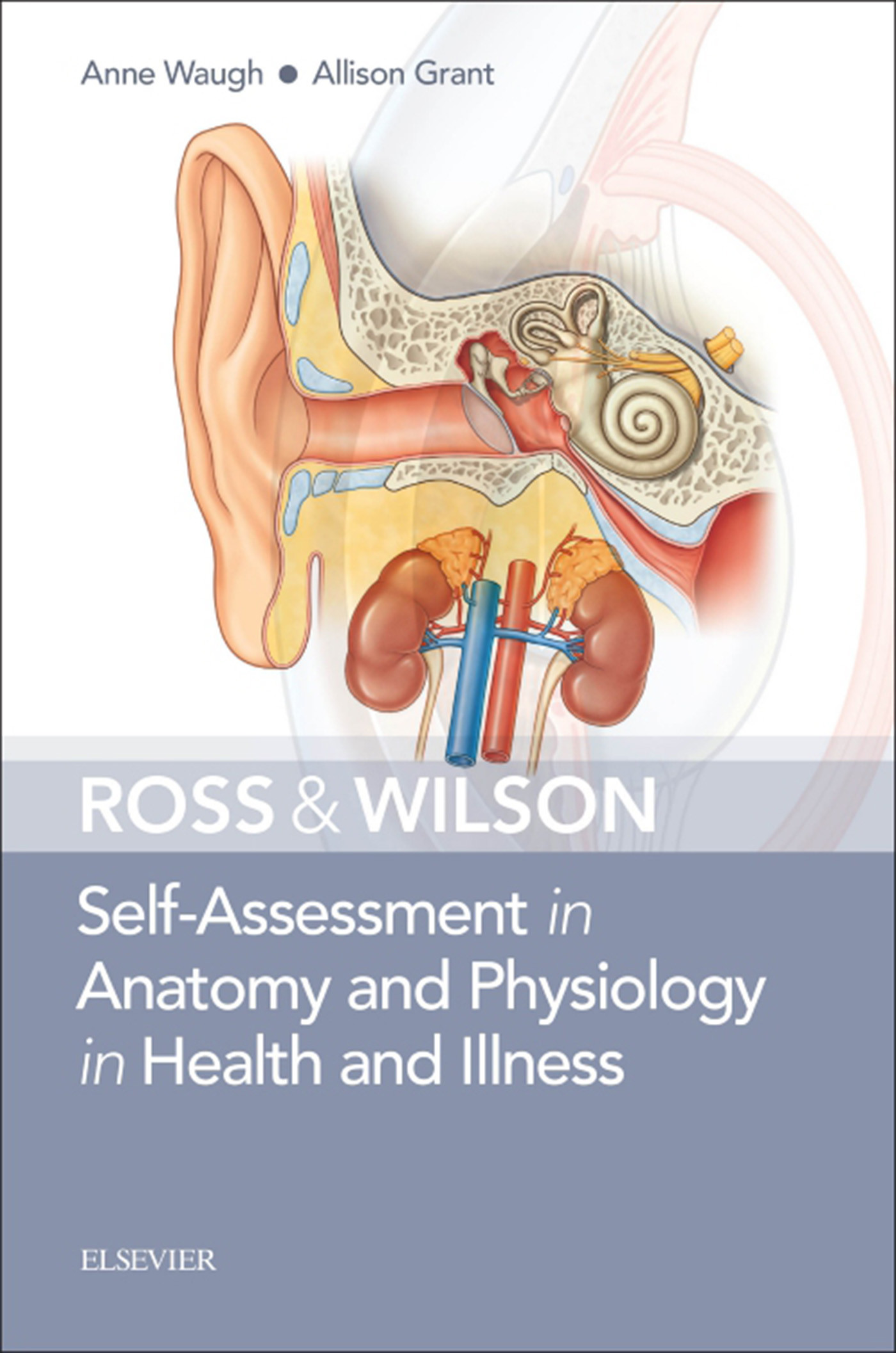 Cover Ross & Wilson Self-Assessment in Anatomy and Physiology in Health and Illness E-Book