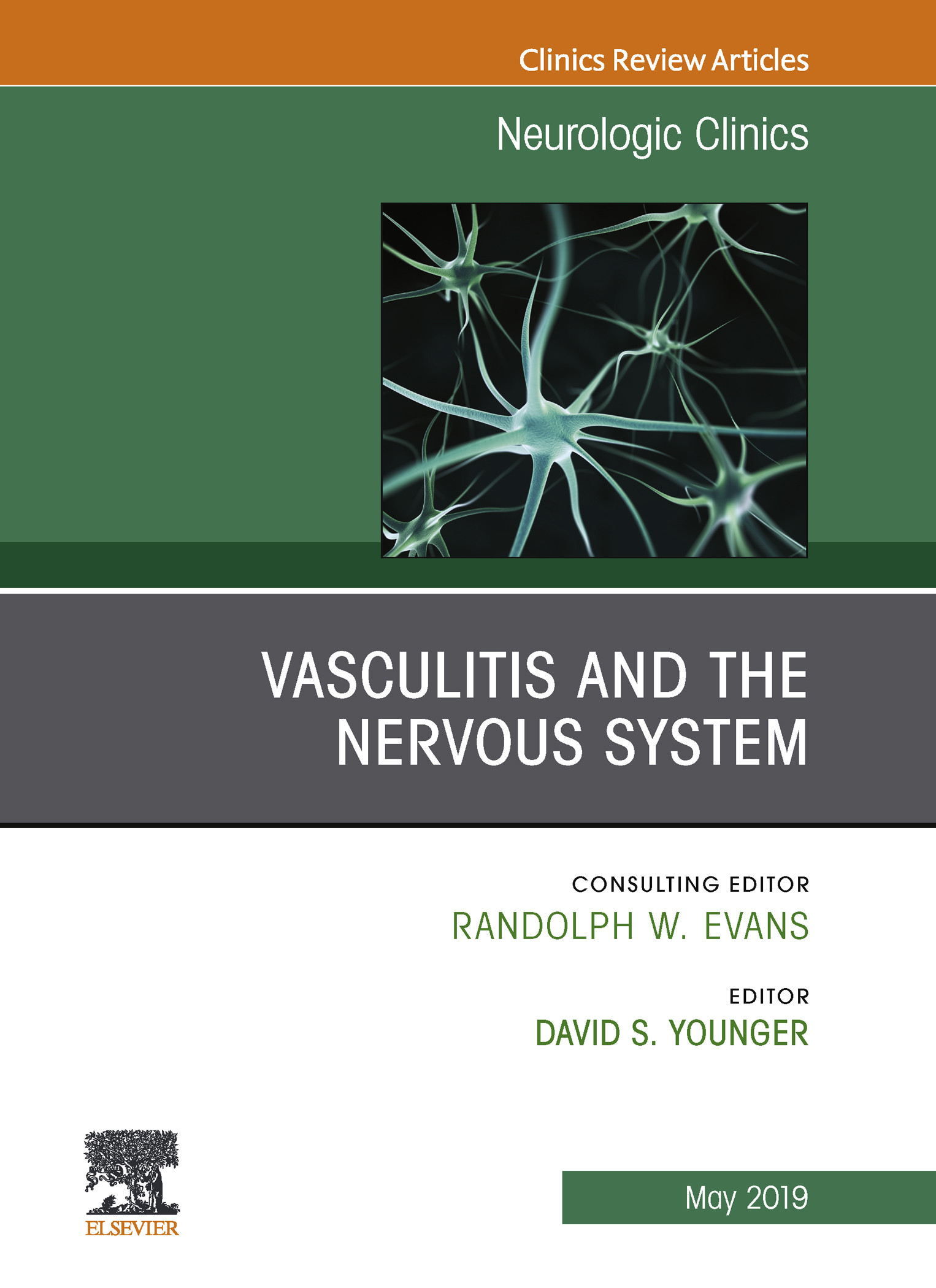 Cover Vasculitis and the Nervous System, An Issue of Neurologic Clinics, Ebook