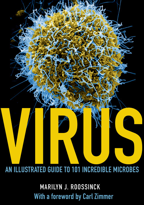 Cover Virus