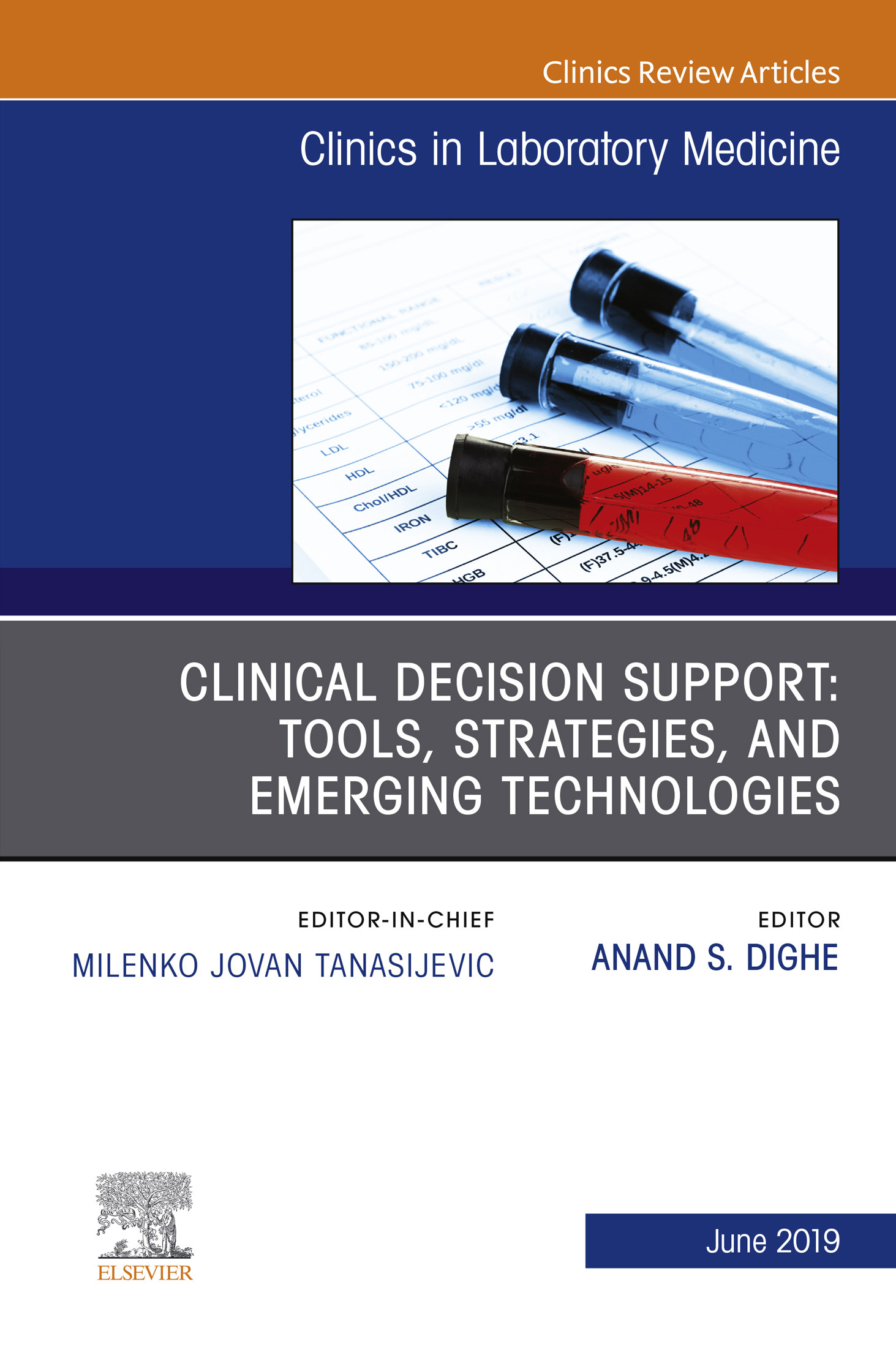 Cover Clinical Decision Support: Tools, Strategies, and Emerging Technologies, An Issue of the Clinics in Laboratory Medicine, Ebook