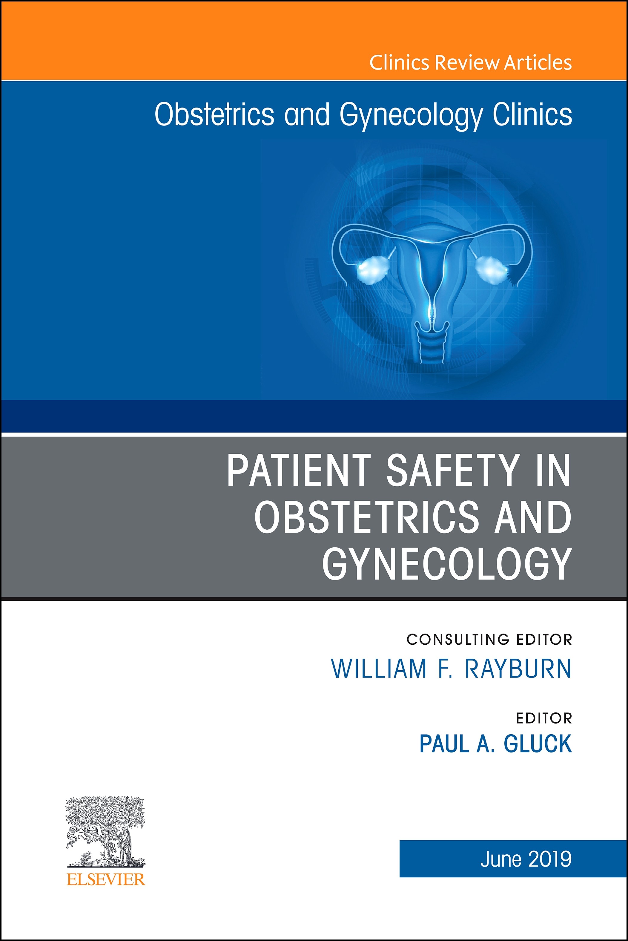 Patient Safety in Obstetrics and Gynecology, An Issue of Obstetrics and Gynecology Clinics, Ebook