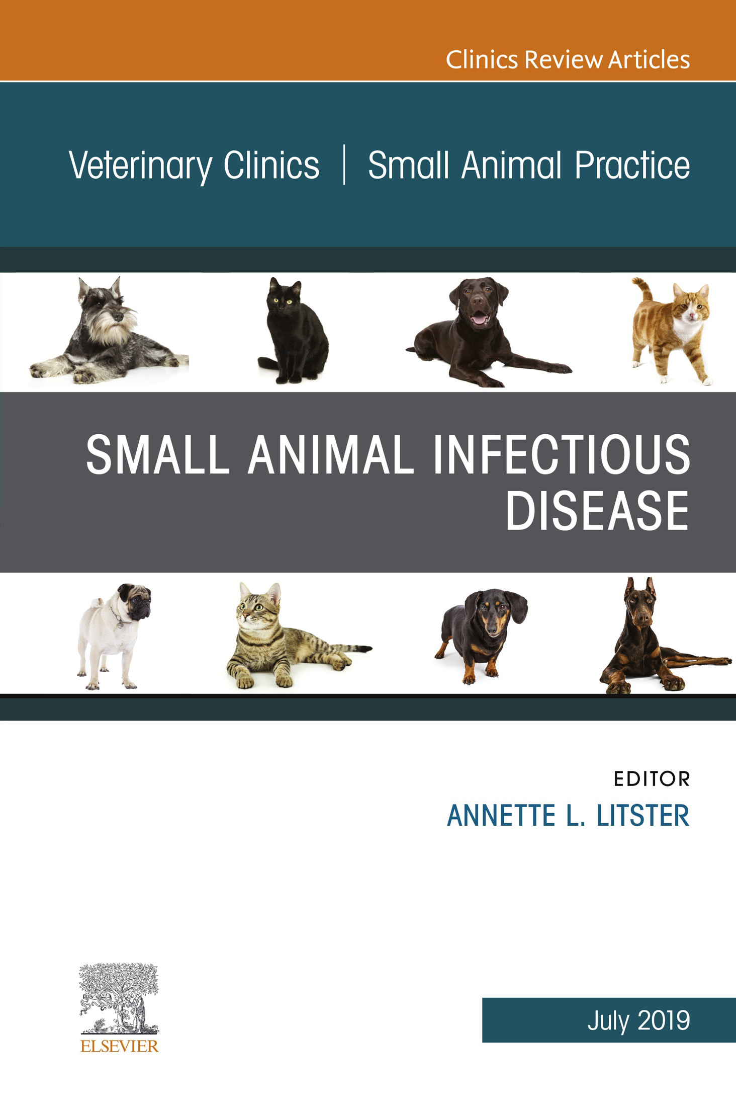 Cover Small Animal Infectious Disease, An Issue of Veterinary Clinics of North America: Small Animal Practice, Ebook