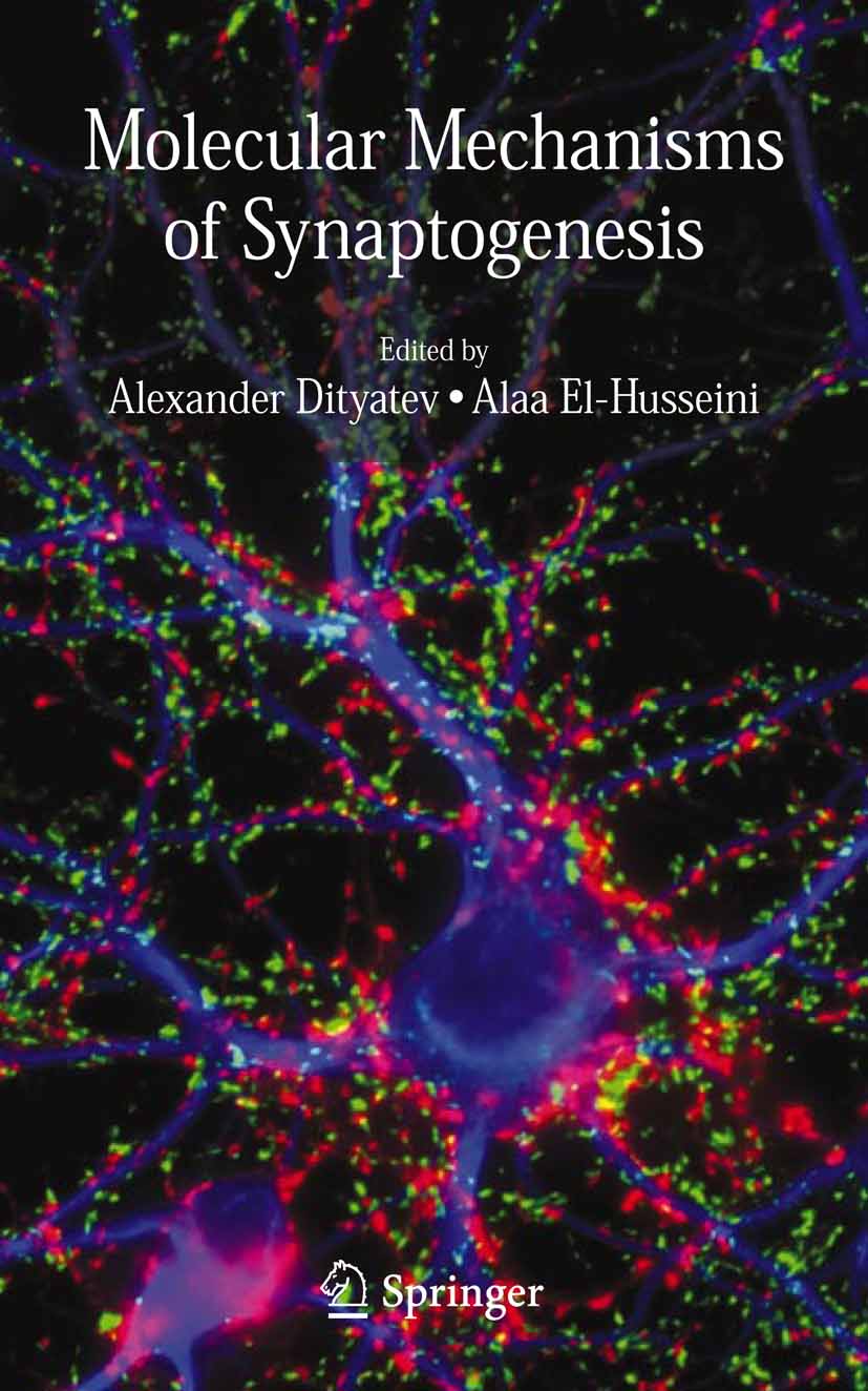 Cover Molecular Mechanisms of Synaptogenesis