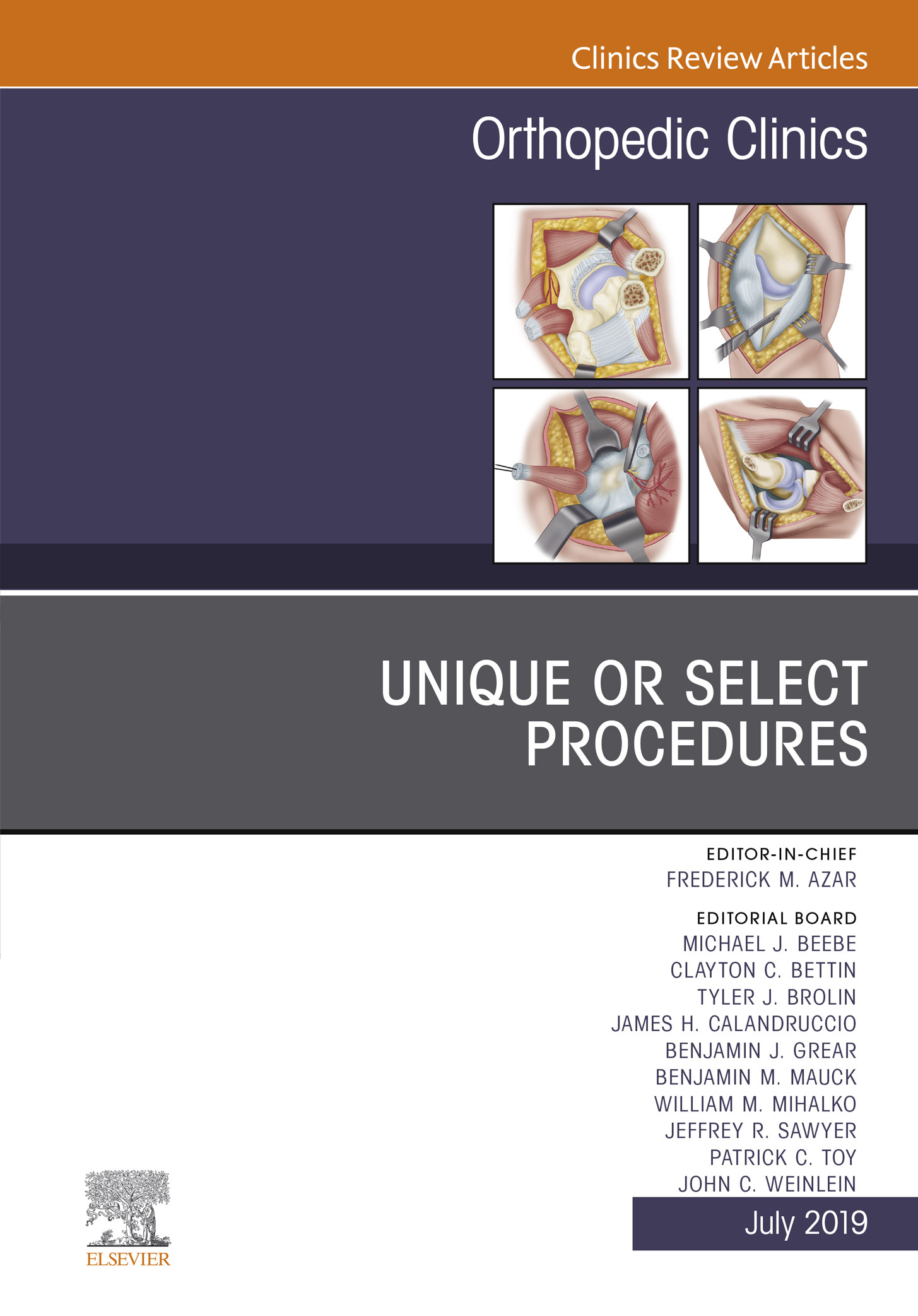 Cover Unique or Select Procedures, An Issue of Orthopedic Clinics