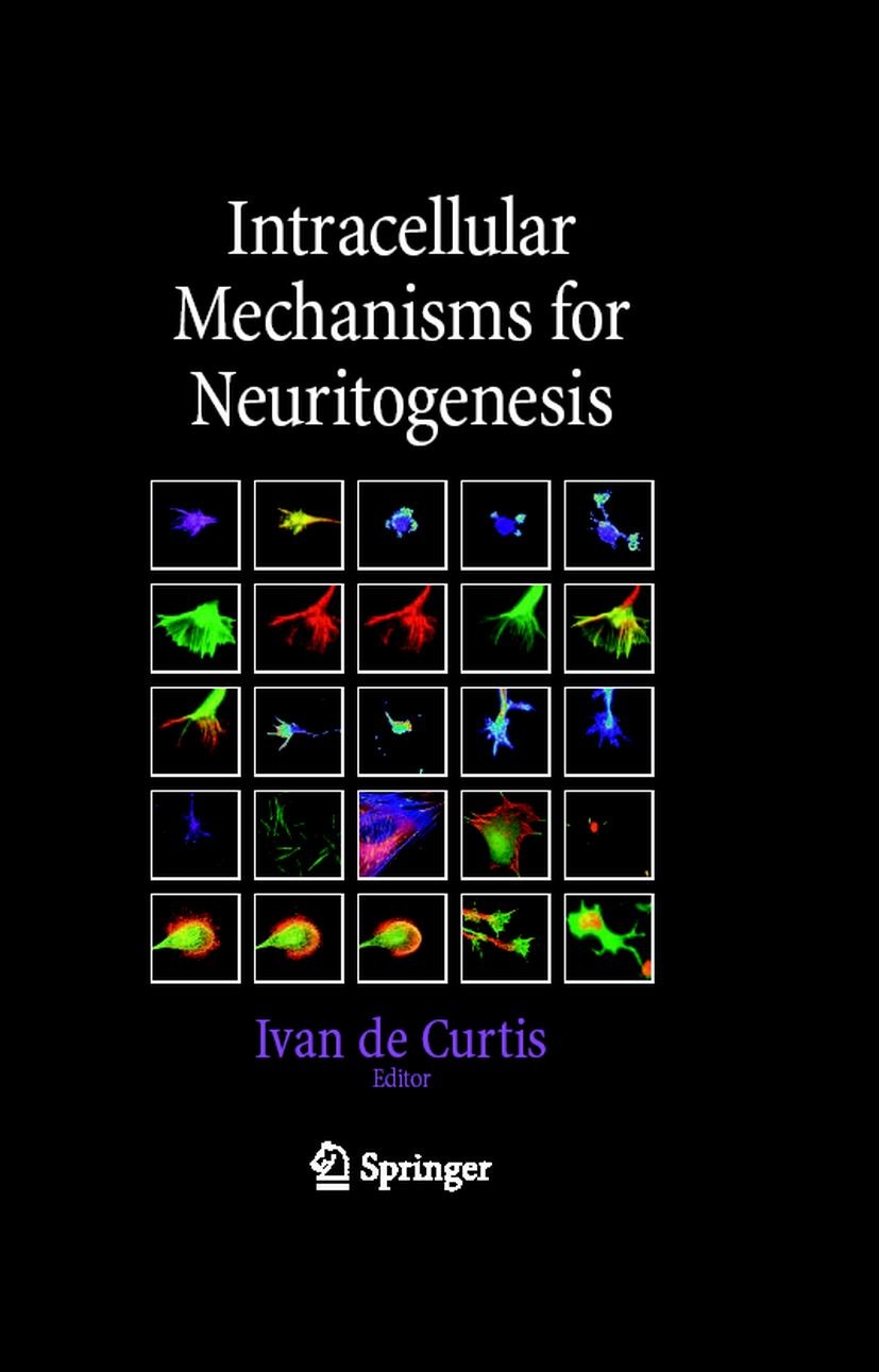 Intracellular Mechanisms for Neuritogenesis