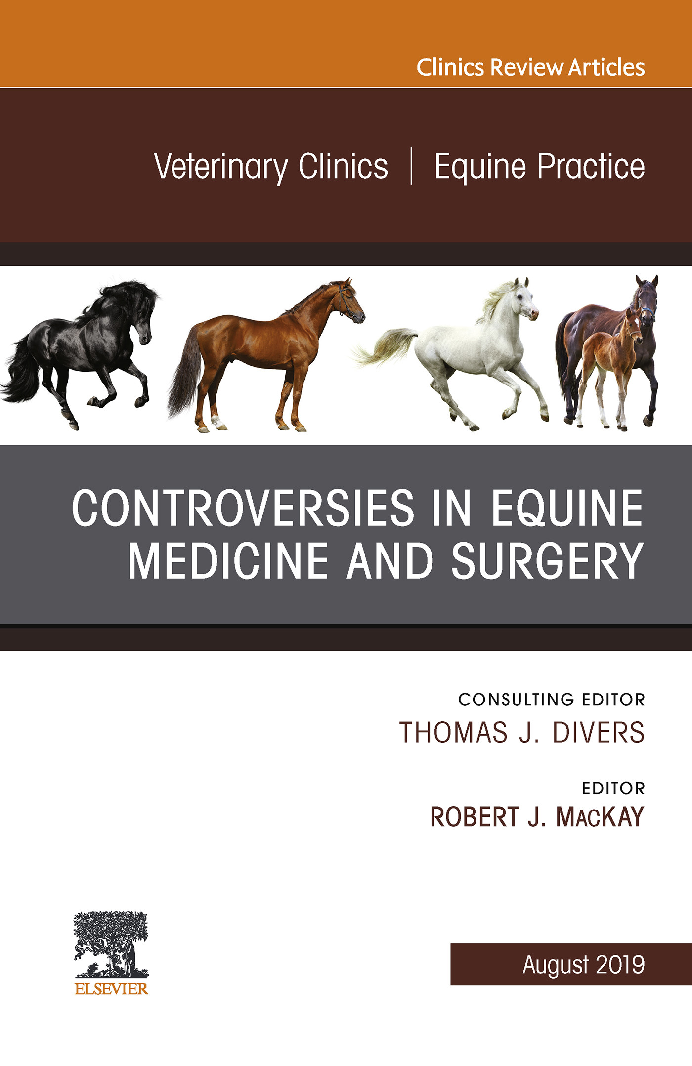 Cover Controversies in Equine Medicine and Surgery, An Issue of Veterinary Clinics of North America: Equine Practice, Ebook