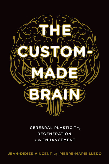 The Custom-Made Brain