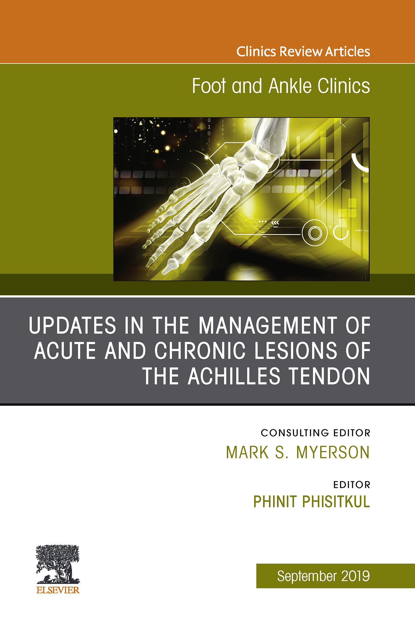 Cover Updates in the Management of Acute and Chronic Lesions of the Achilles Tendon, An issue of Foot and Ankle Clinics of North America, Ebook