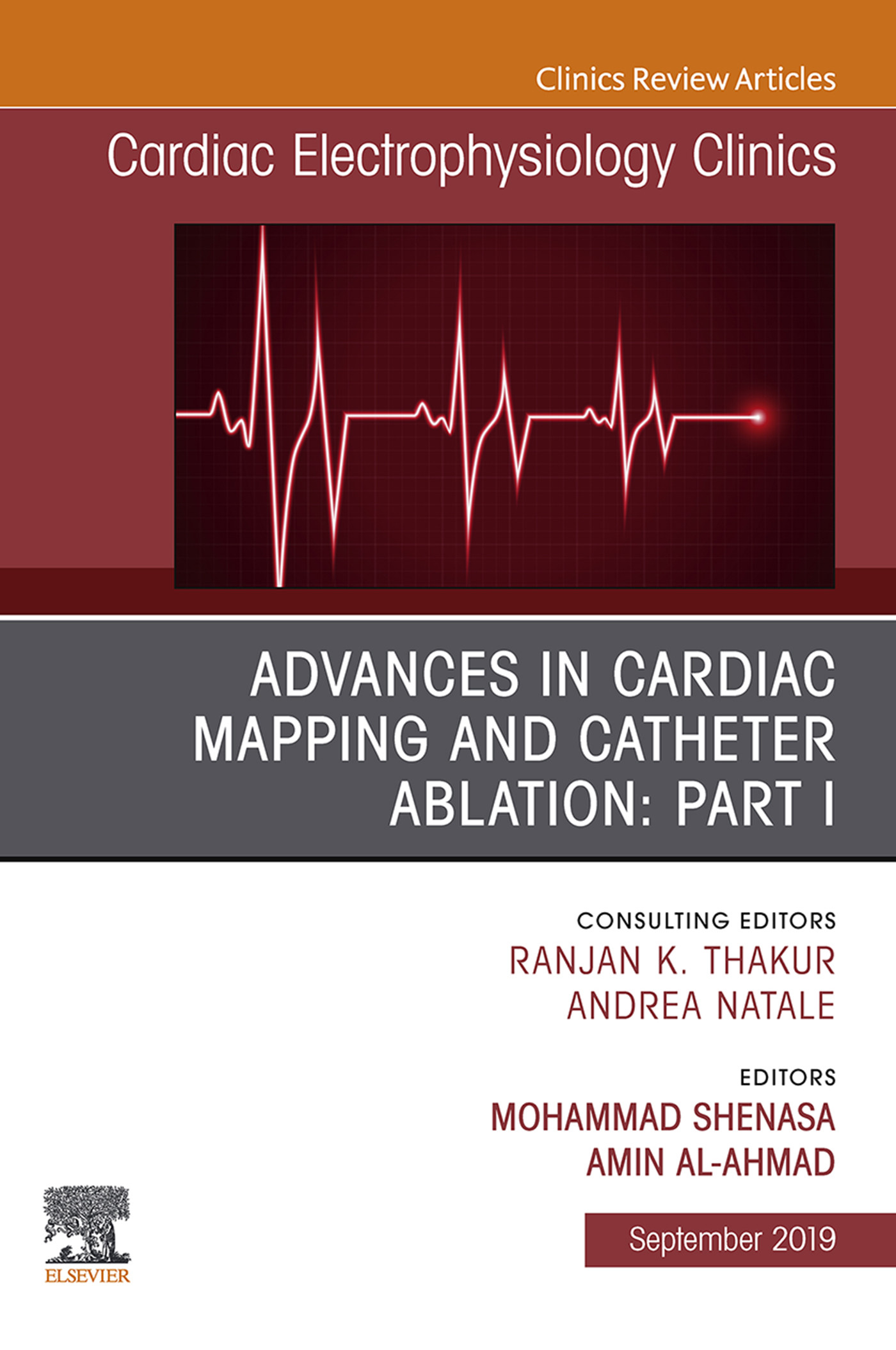 Cover Advances in Cardiac Mapping and Catheter Ablation: Part I, An Issue of Cardiac Electrophysiology Clinics, Ebook