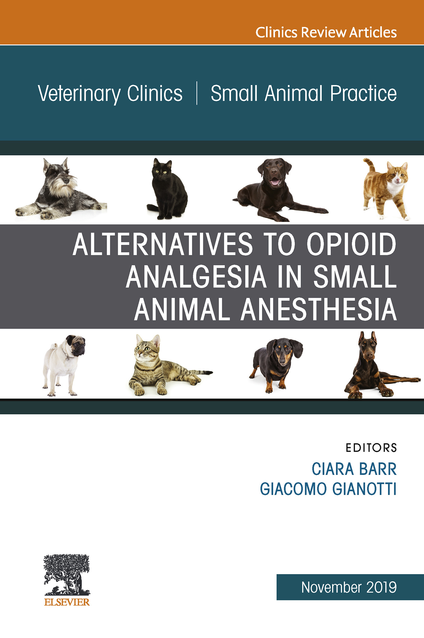 Cover Alternatives to Opioid Analgesia in Small Animal Anesthesia, An Issue of Veterinary Clinics of North America: Small Animal Practice E-Book