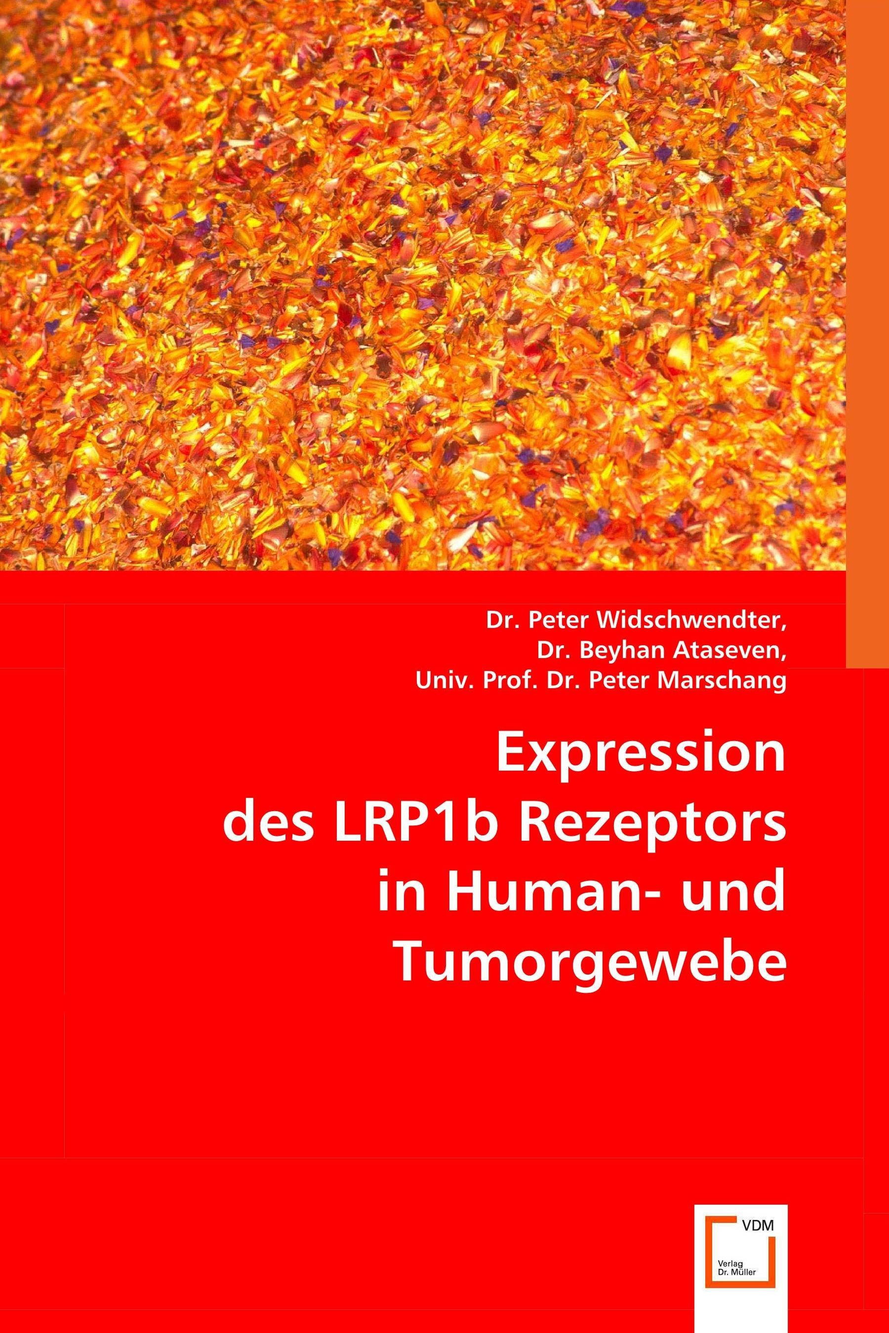 Cover Expression des LRP1b Rezeptors in Human- und Tumorgewebe