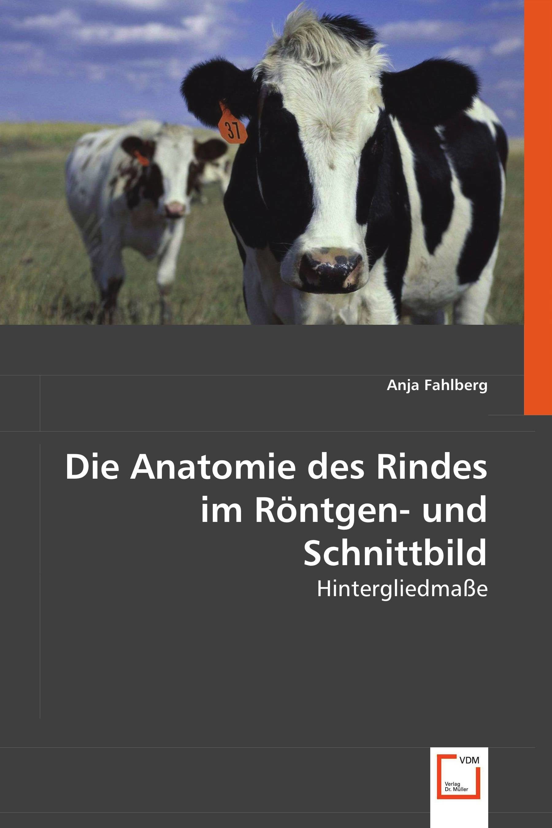 Cover Die Anatomie des Rindes im Röntgen- und Schnittbild