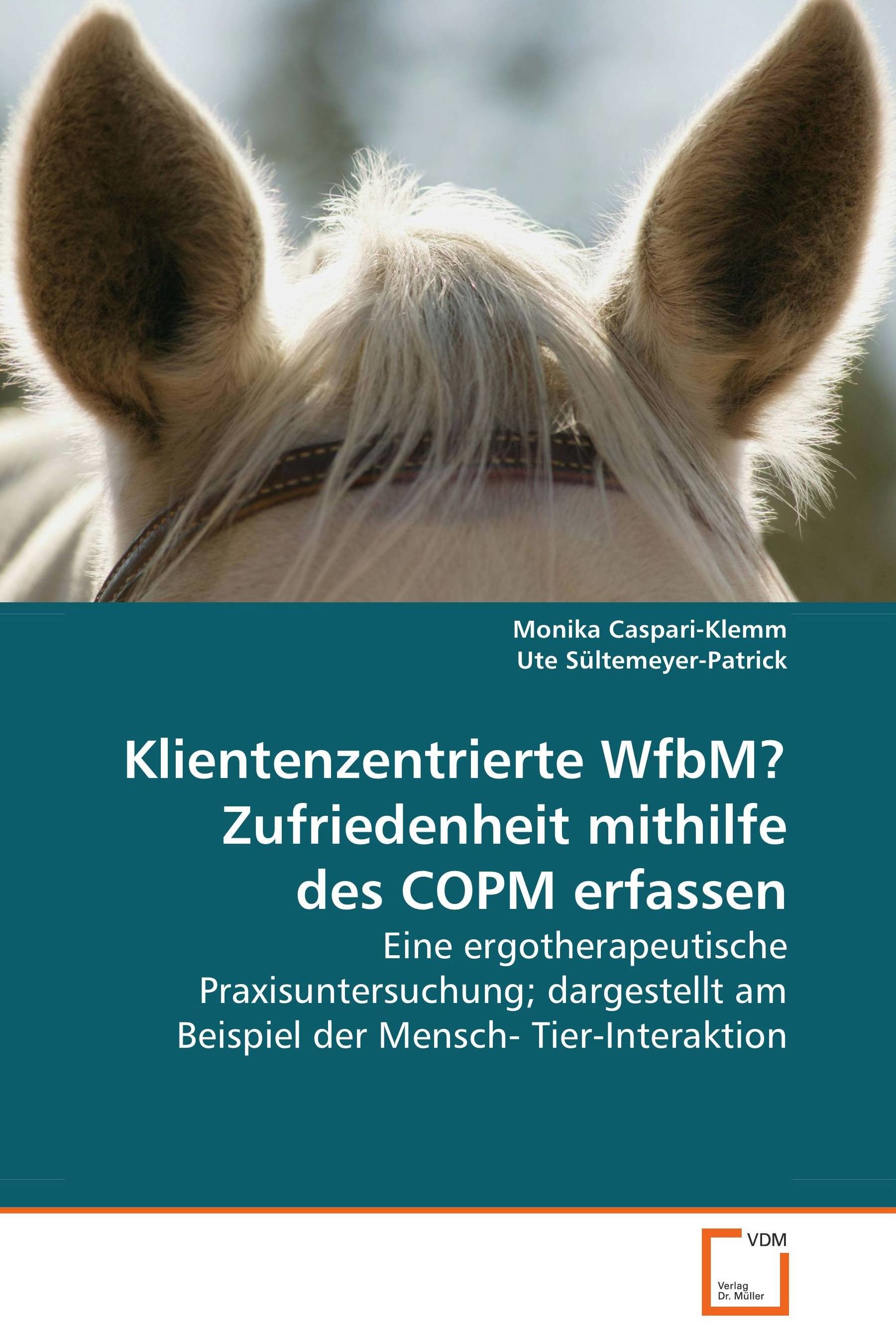 Cover Klientenzentrierte WfbM? Zufriedenheit mithilfe des COPM erfassen