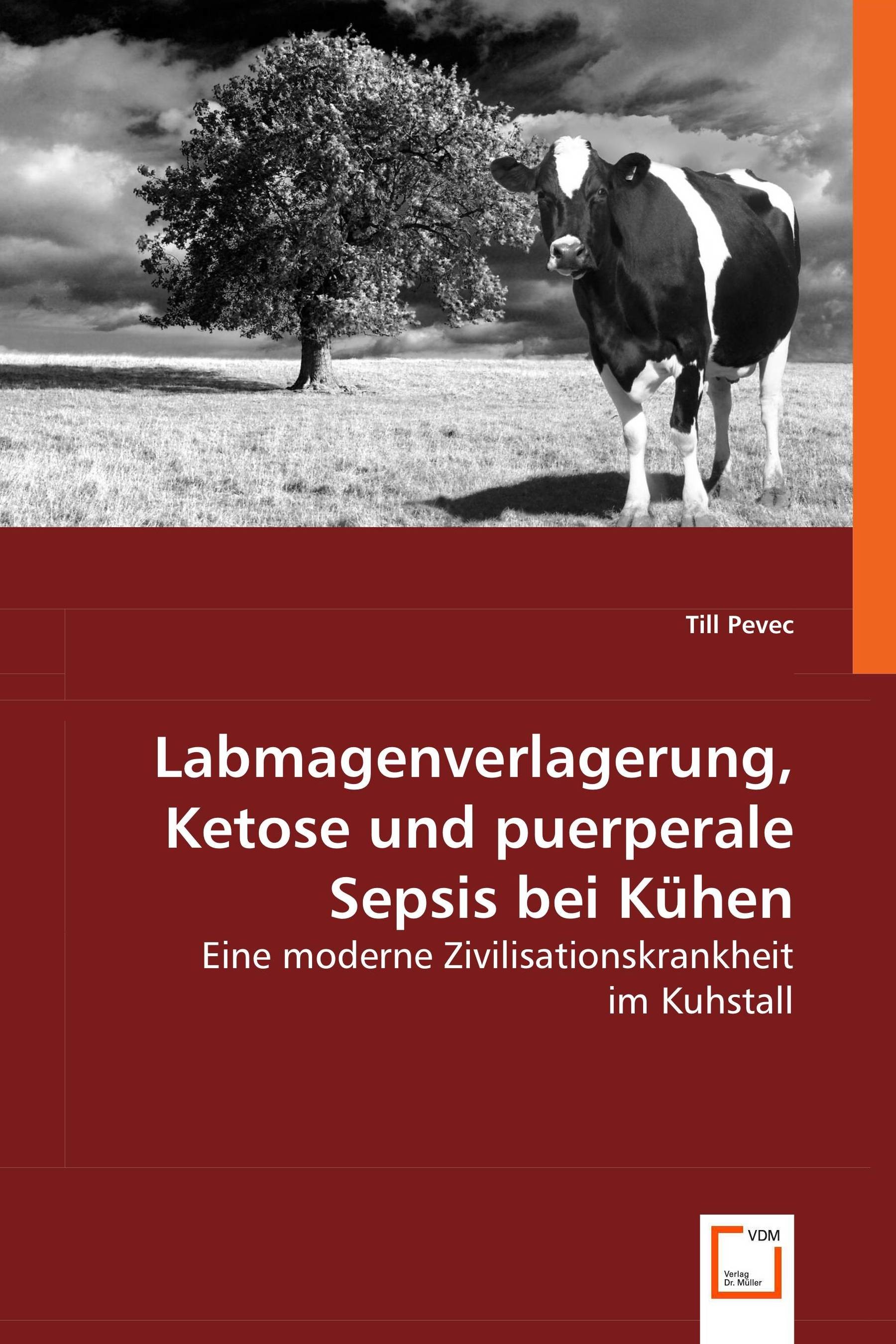 Cover Labmagenverlagerung, Ketose und puerperale Sepsis bei Kühen