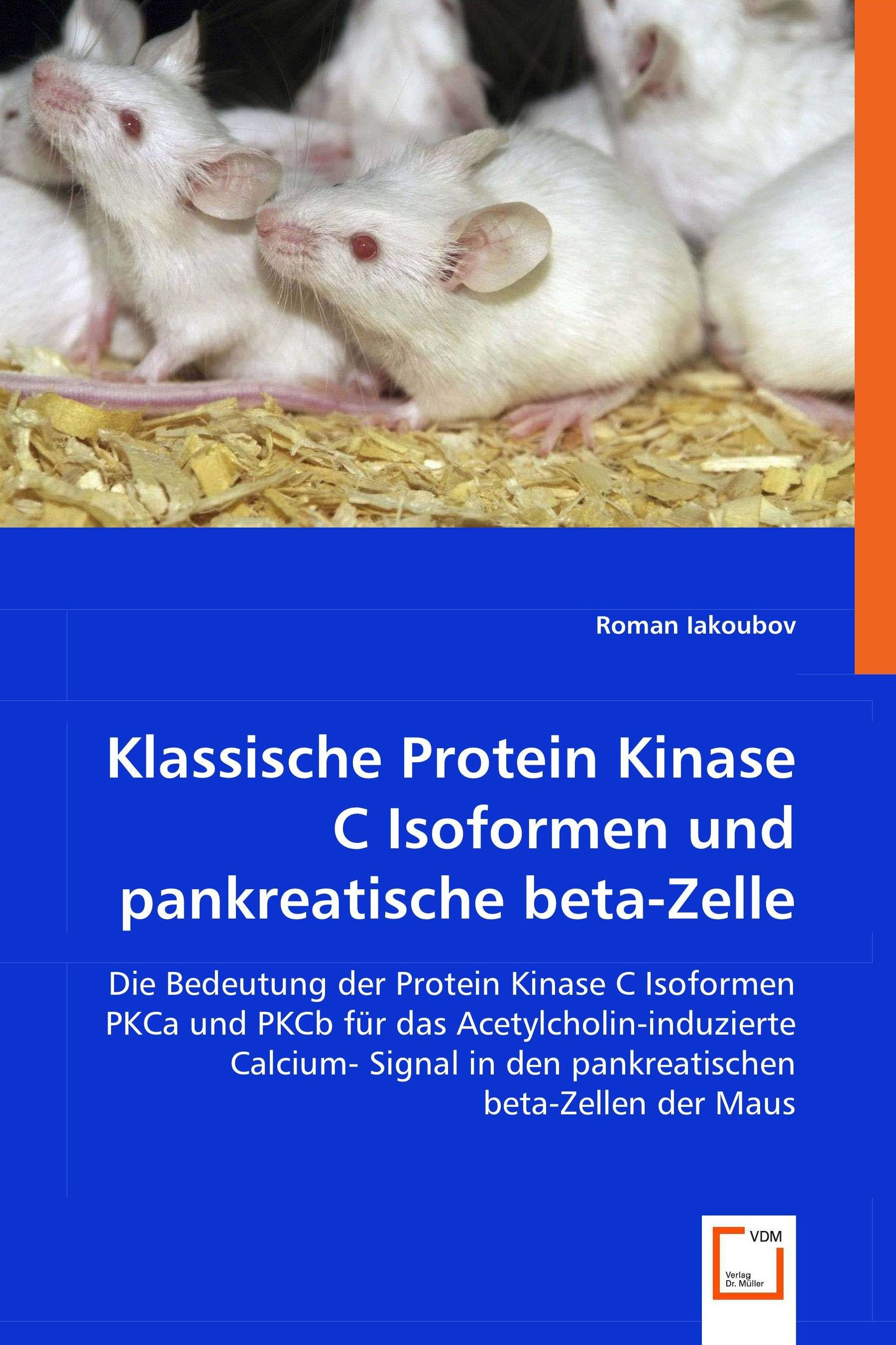 Cover Klassische Protein Kinase C Isoformen und pankreatische beta-Zelle