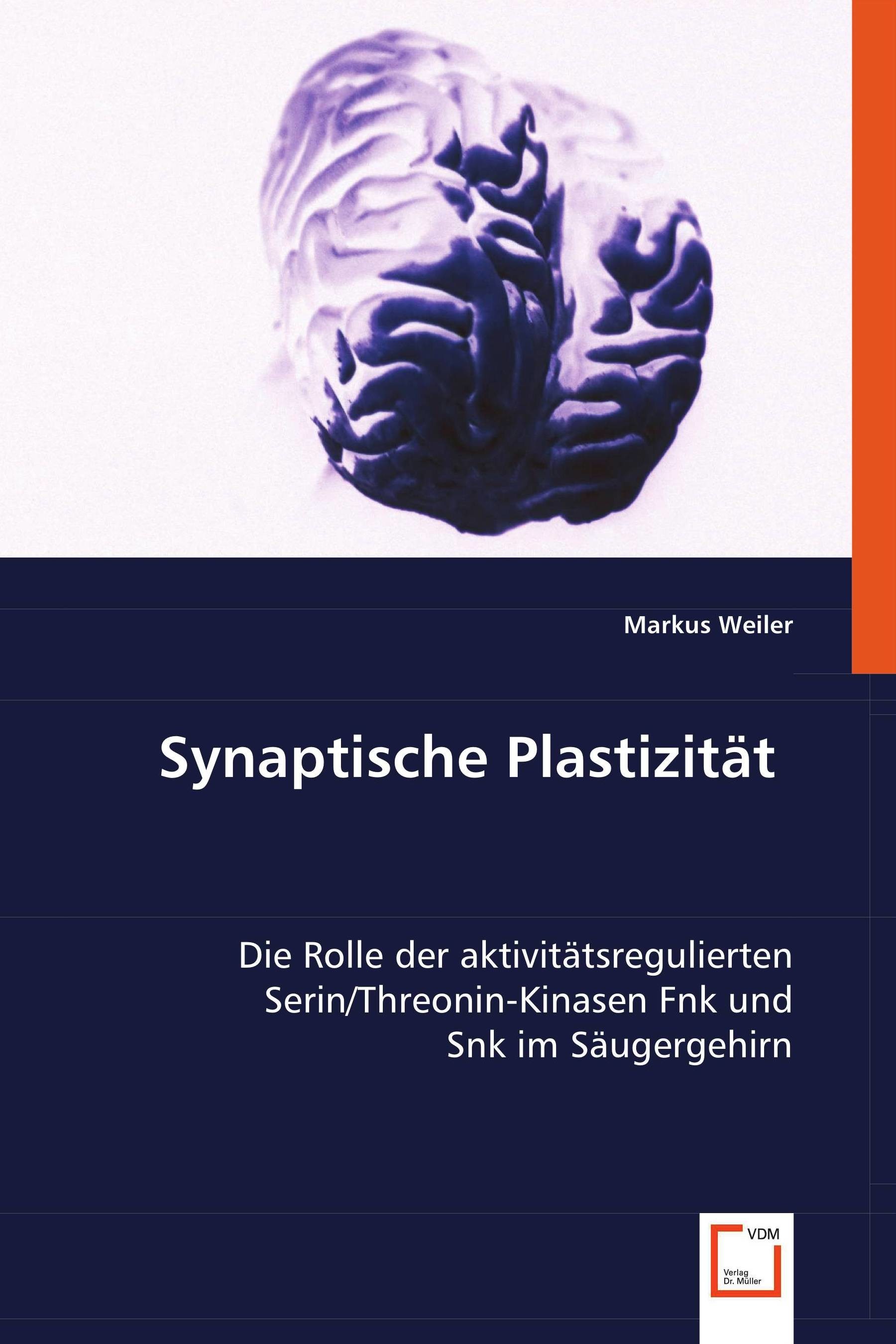 Cover Synaptische Plastizität