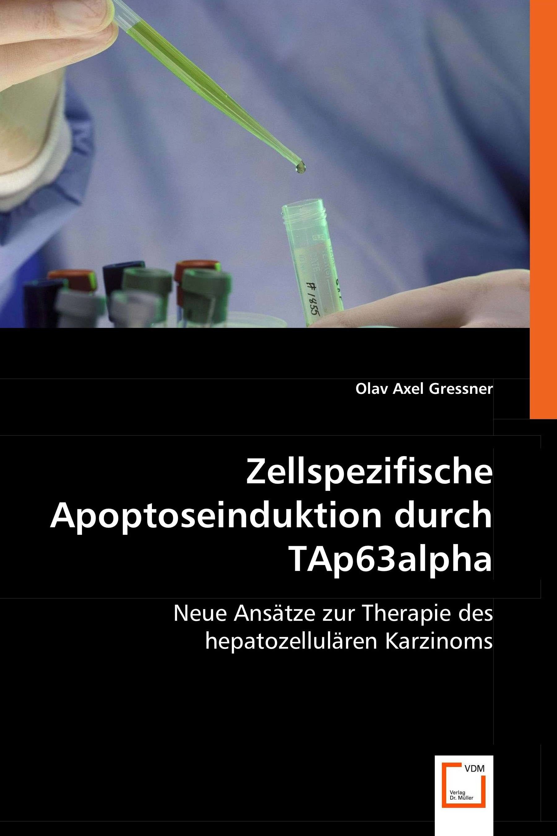 Cover Zellspezifische Apoptoseinduktion durch TAp63alpha