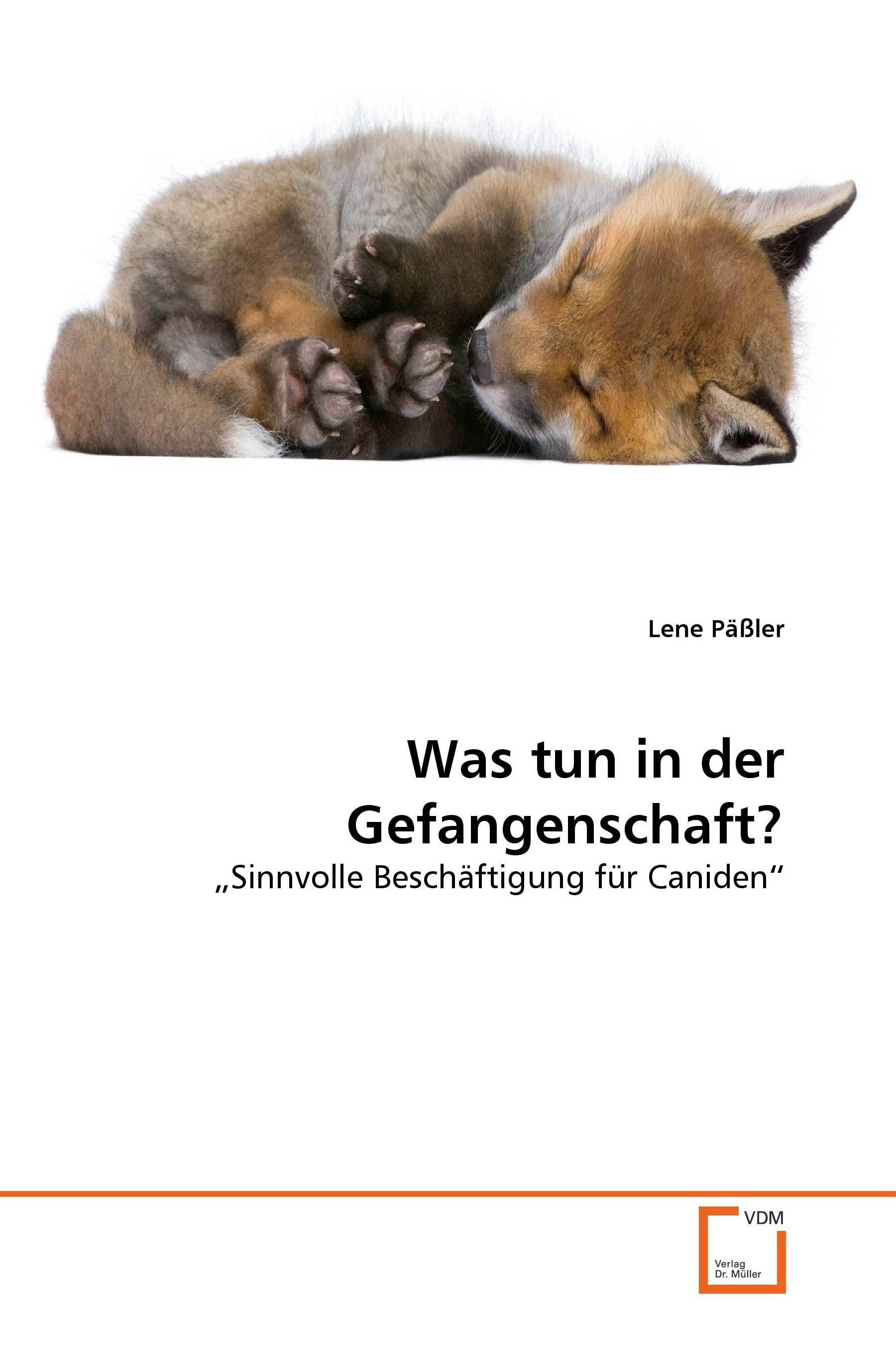 Cover Was tun in der Gefangenschaft?