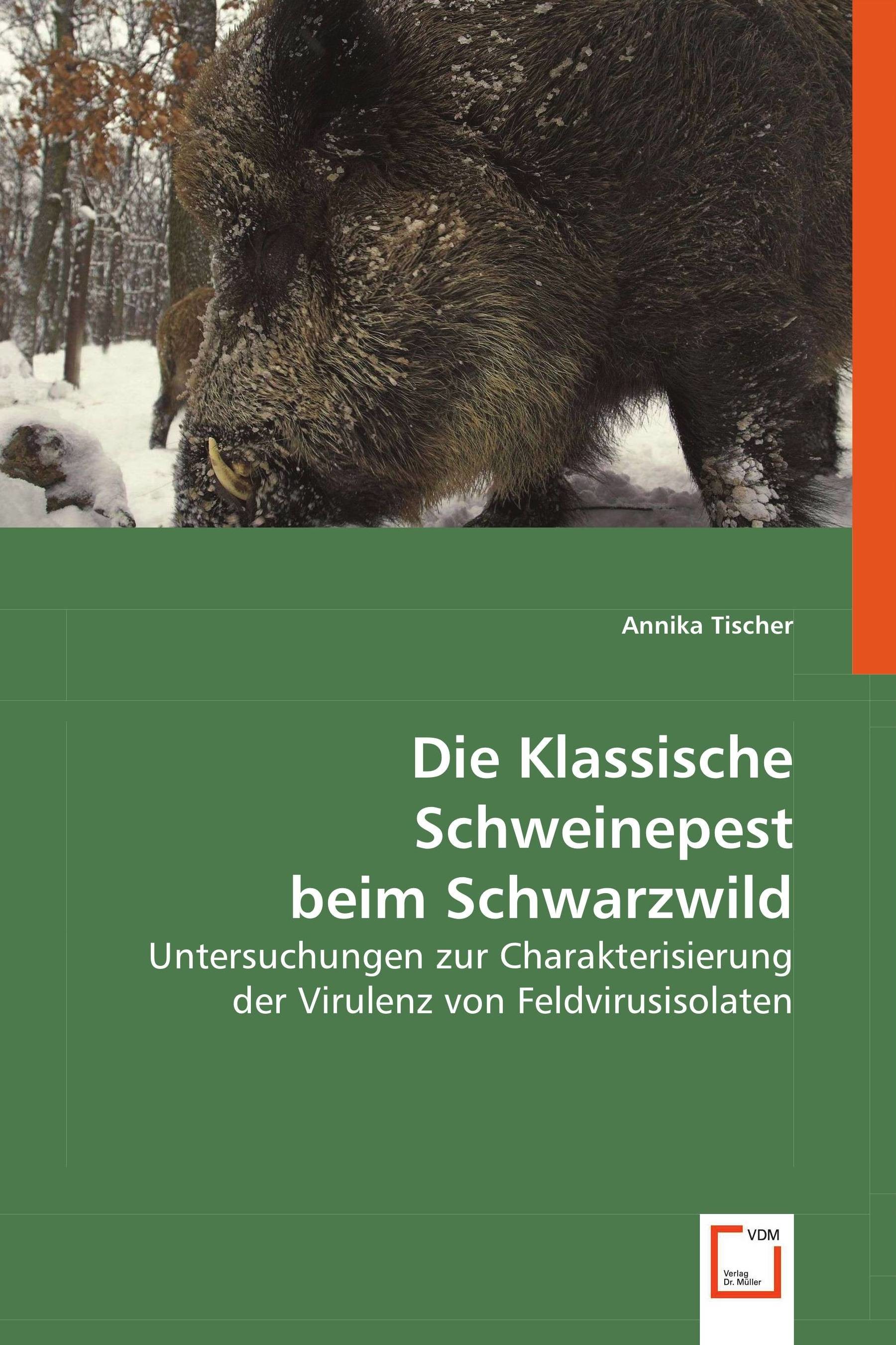 Die Klassische Schweinepest beim Schwarzwild