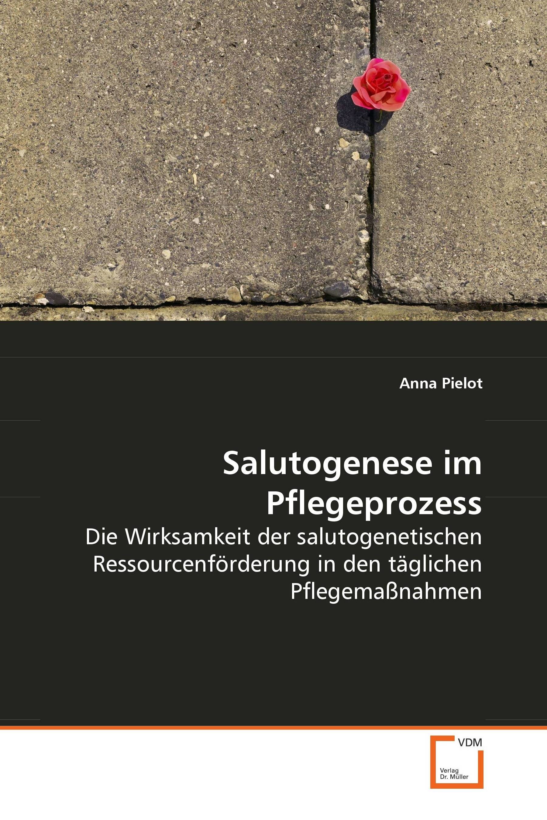 Cover Salutogenese im Pflegeprozess