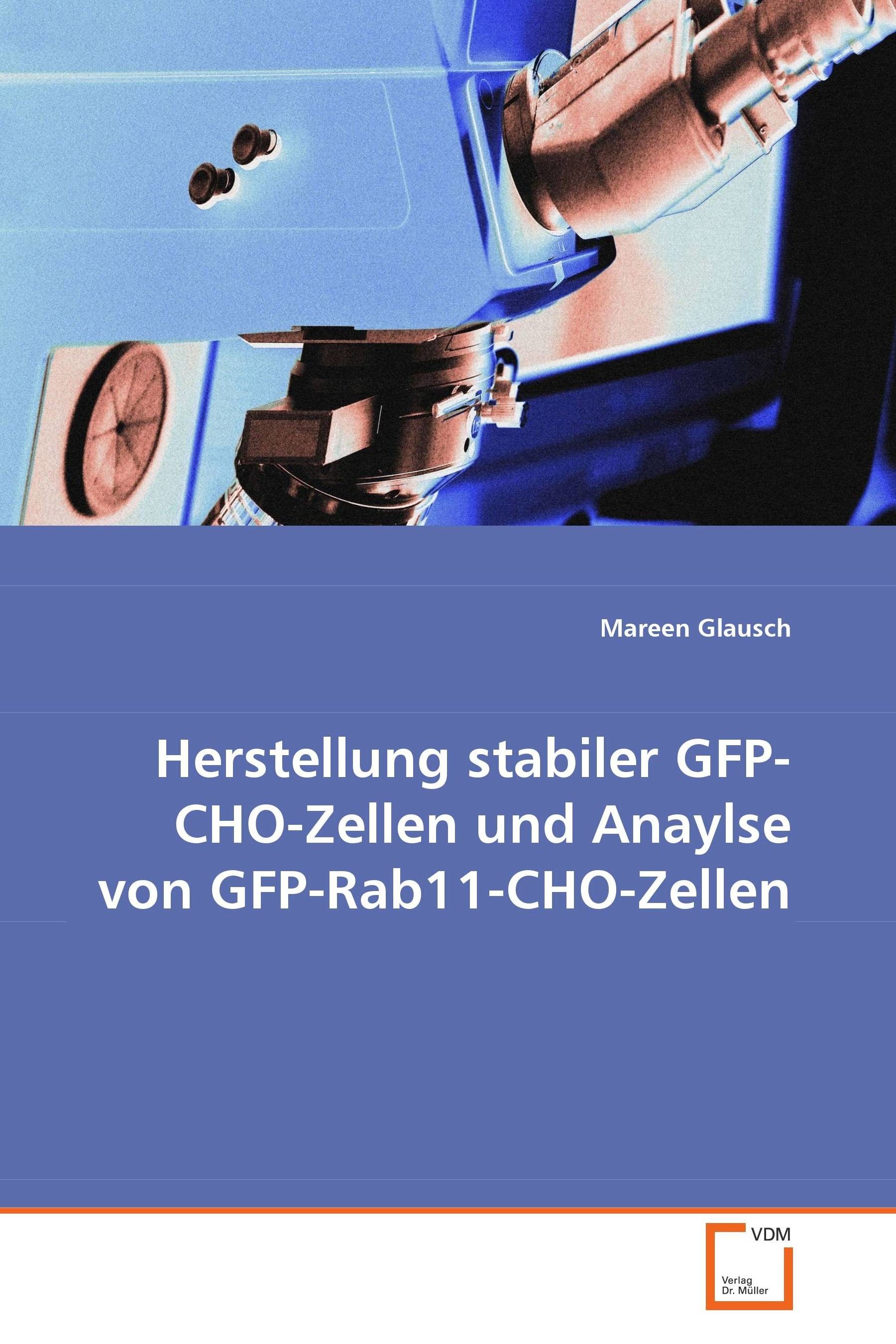 Cover Herstellung stabiler GFP-CHO-Zellen und Anaylse vonGFP-Rab11-CHO-Zellen