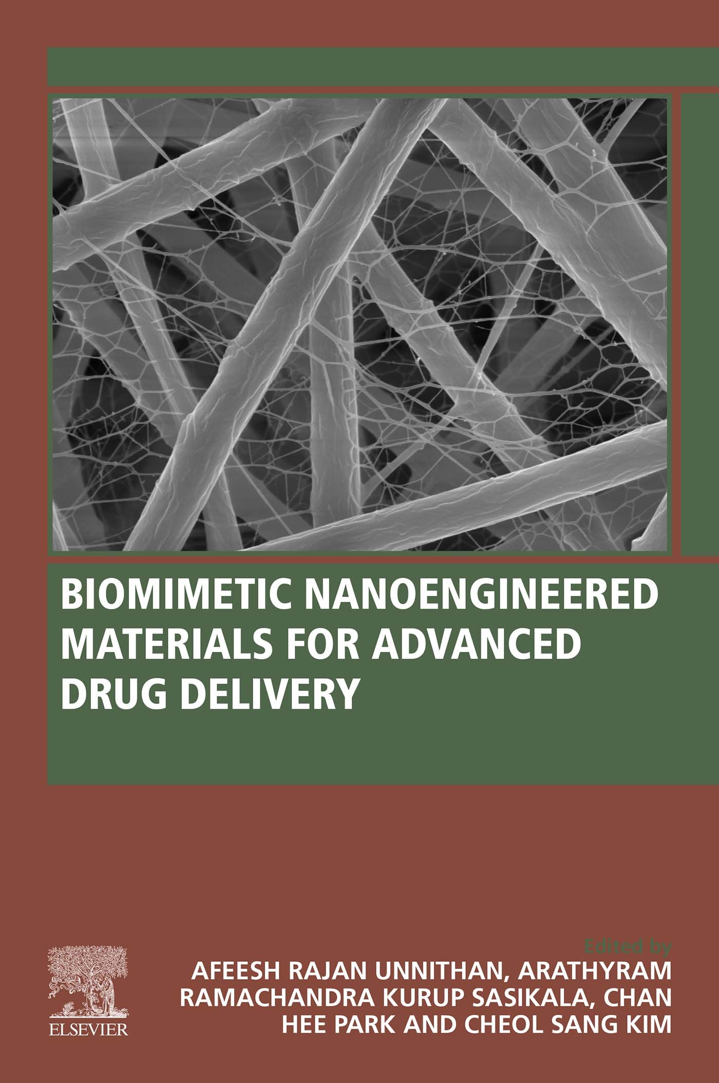 Cover Biomimetic Nanoengineered Materials for Advanced Drug Delivery
