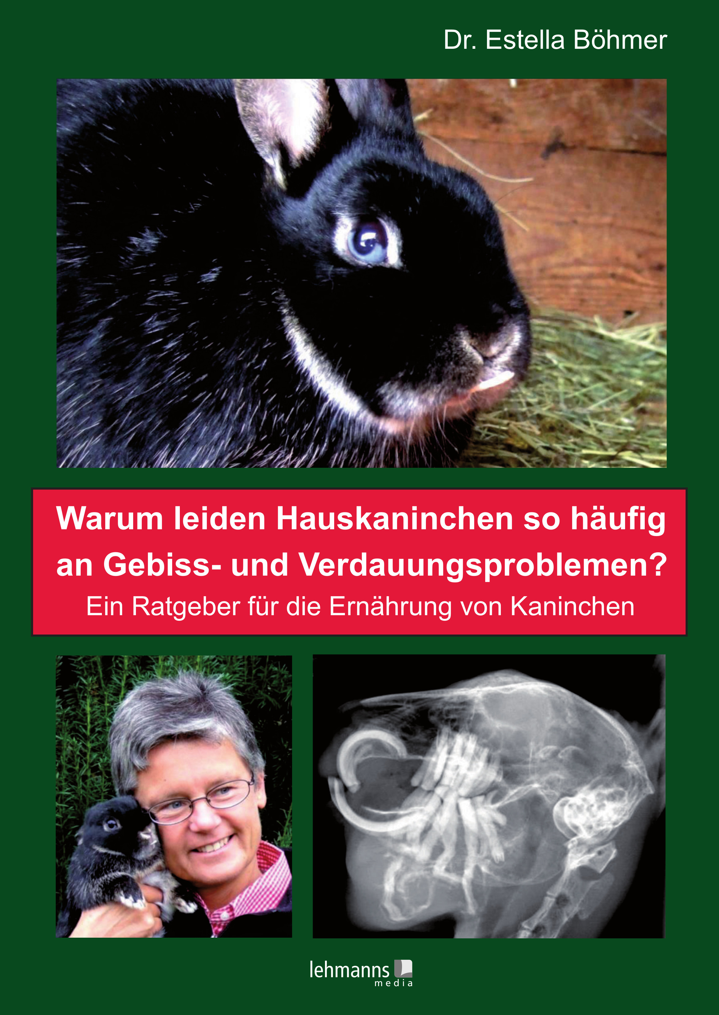 Cover Warum leiden Hauskaninchen so häufig an Gebiss- und Verdauungsproblemen?