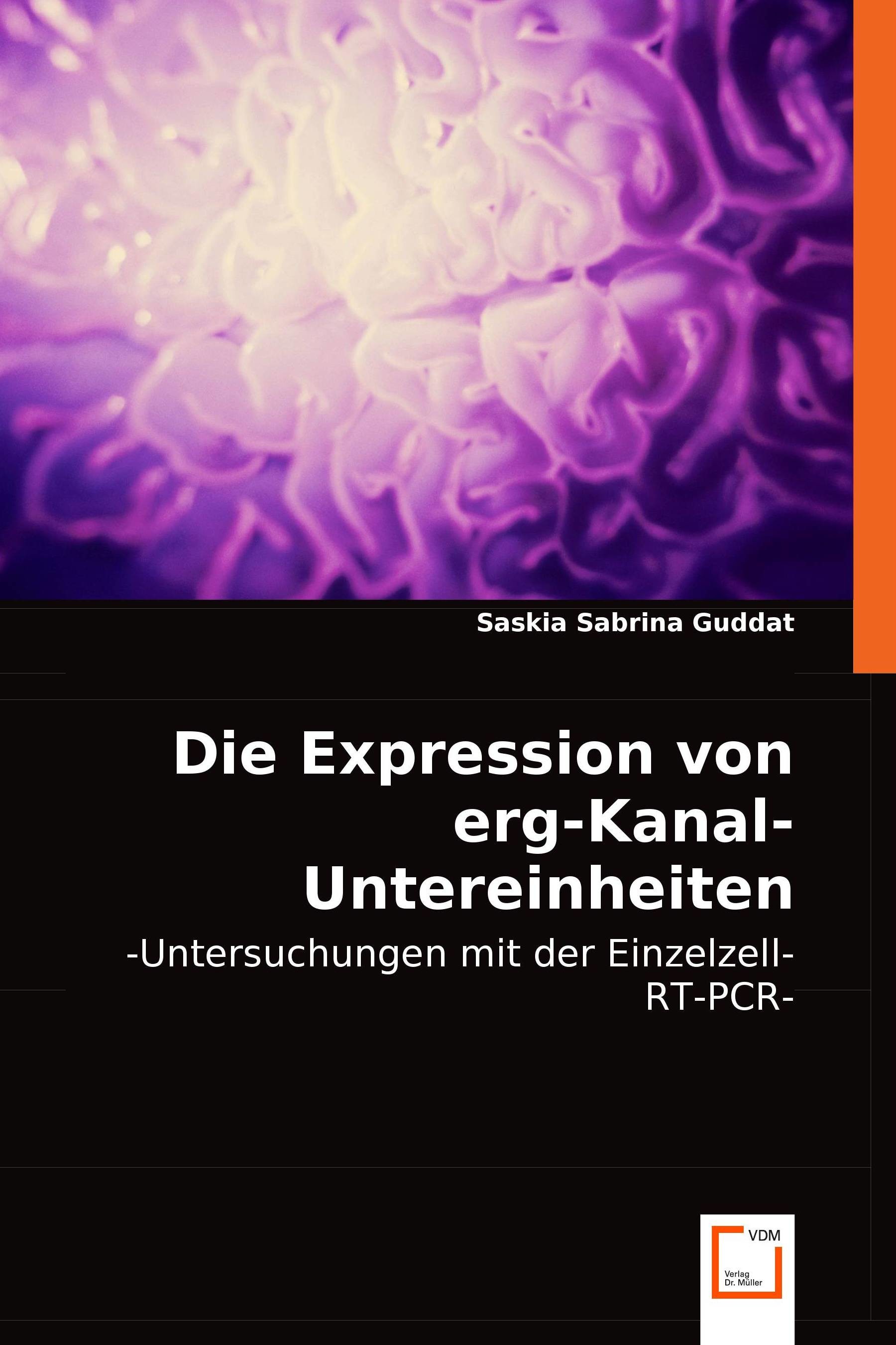 Die Expression von erg-Kanal-Untereinheiten im Gehirn
